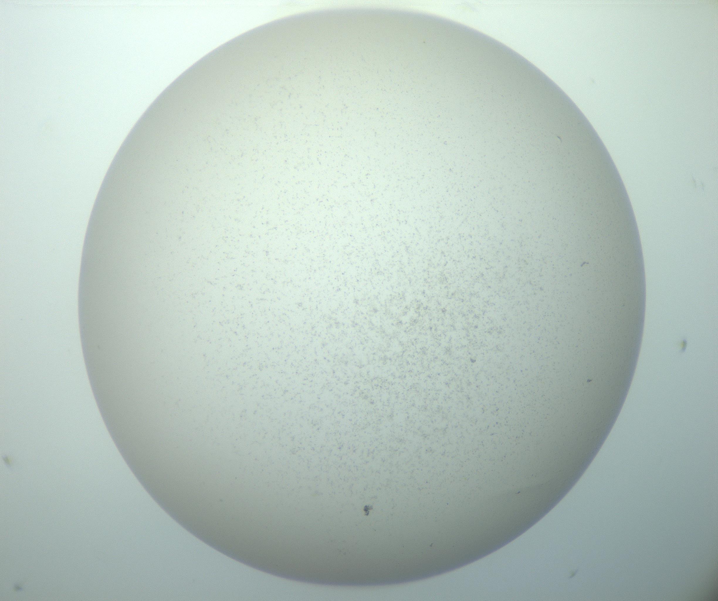 RI01_03_000_0212_Proj1_Clon1_MC_0000MC103015_002_161120_09_06_02_00_99_002_001_RAI.jpg