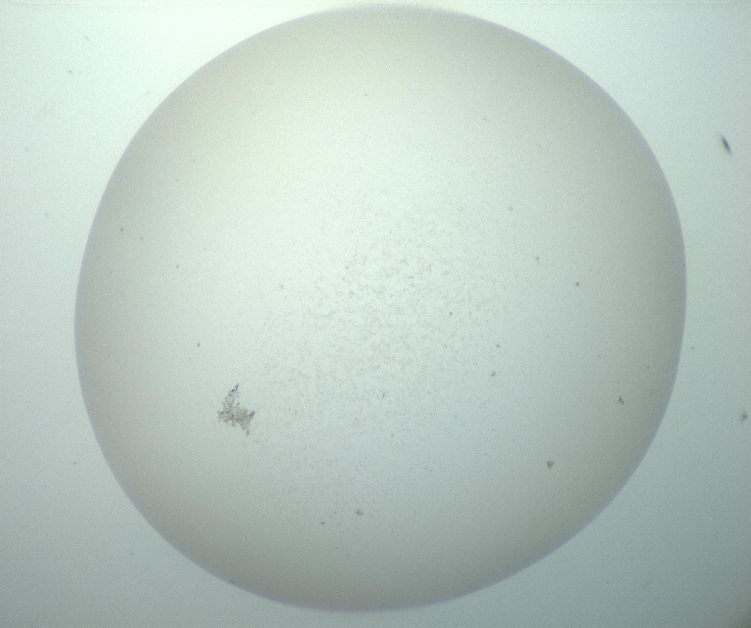 RI01_03_000_0212_Proj1_Clon1_MC_0000MC103015_002_161120_09_07_02_00_99_002_001_RAI.jpg