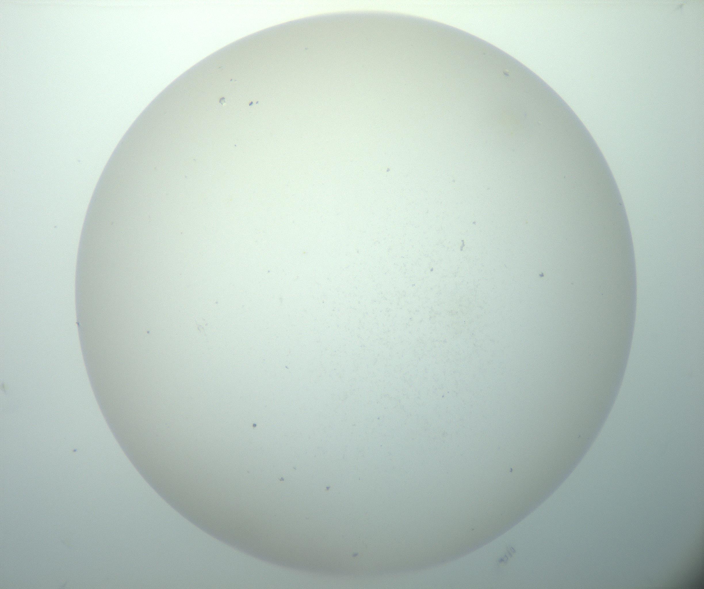 RI01_03_000_0212_Proj1_Clon1_MC_0000MC103015_002_161120_10_02_02_00_99_002_001_RAI.jpg