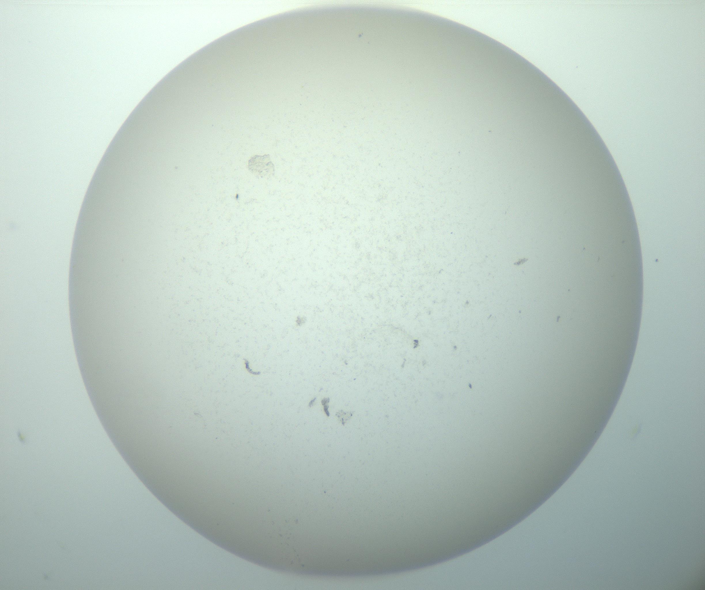 RI01_03_000_0212_Proj1_Clon1_MC_0000MC103015_002_161120_10_04_02_00_99_002_001_RAI.jpg