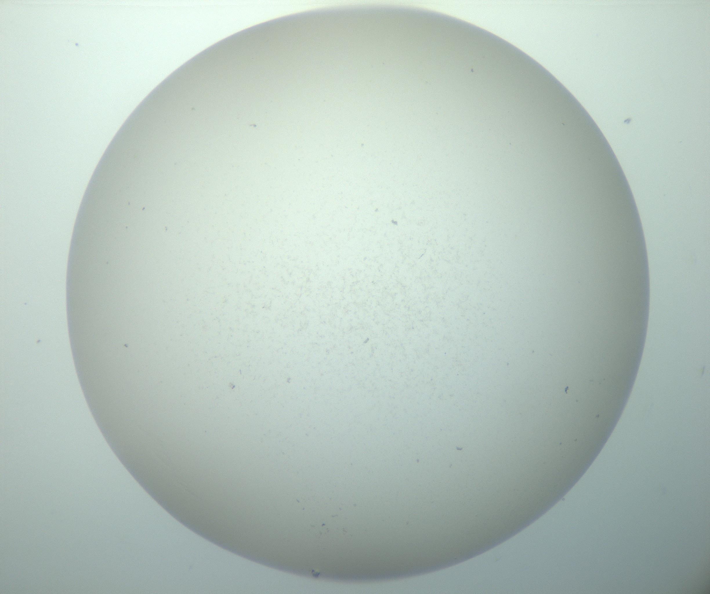 RI01_03_000_0212_Proj1_Clon1_MC_0000MC103015_002_161120_10_05_02_00_99_002_001_RAI.jpg
