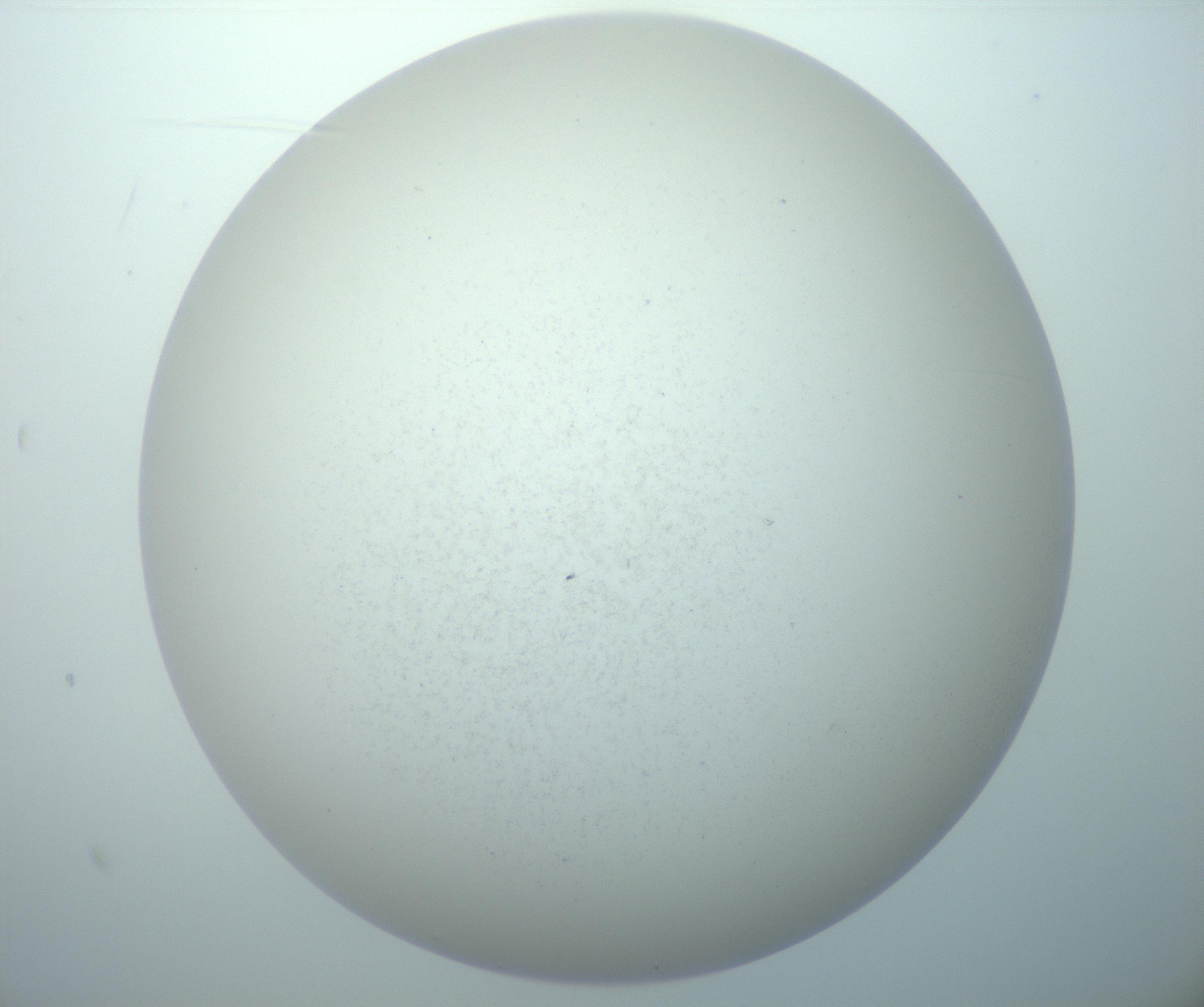 RI01_03_000_0212_Proj1_Clon1_MC_0000MC103015_002_161120_10_07_02_00_99_002_001_RAI.jpg