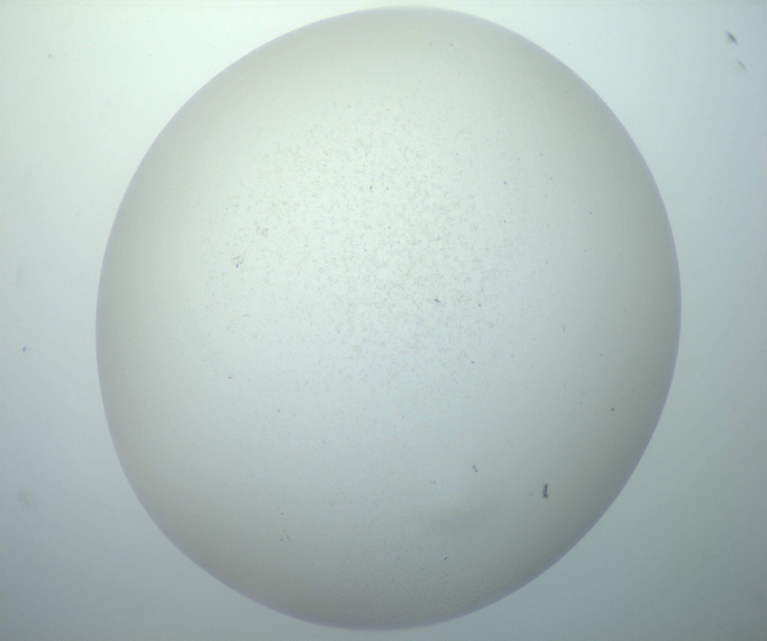 RI01_03_000_0212_Proj1_Clon1_MC_0000MC103015_002_161120_10_08_02_00_99_002_001_RAI.jpg