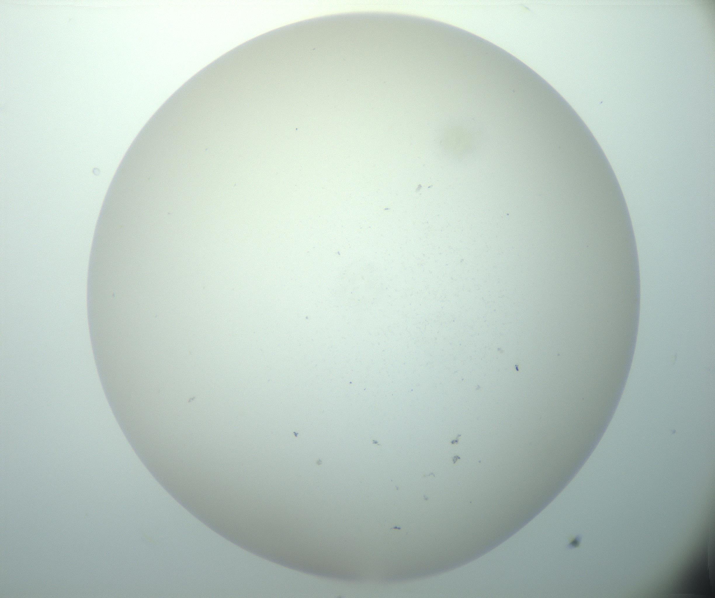 RI01_03_000_0212_Proj1_Clon1_MC_0000MC103015_002_161120_11_02_02_00_99_002_001_RAI.jpg