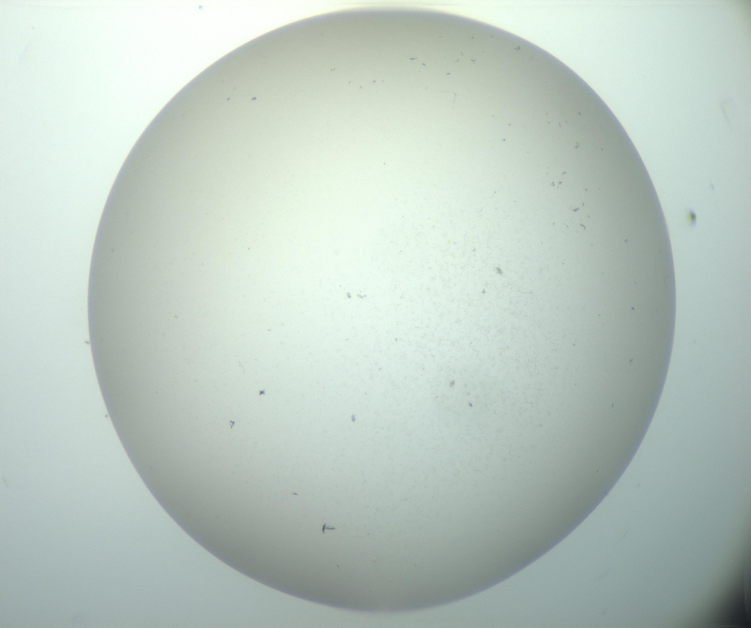 RI01_03_000_0212_Proj1_Clon1_MC_0000MC103015_002_161120_11_03_02_00_99_002_001_RAI.jpg