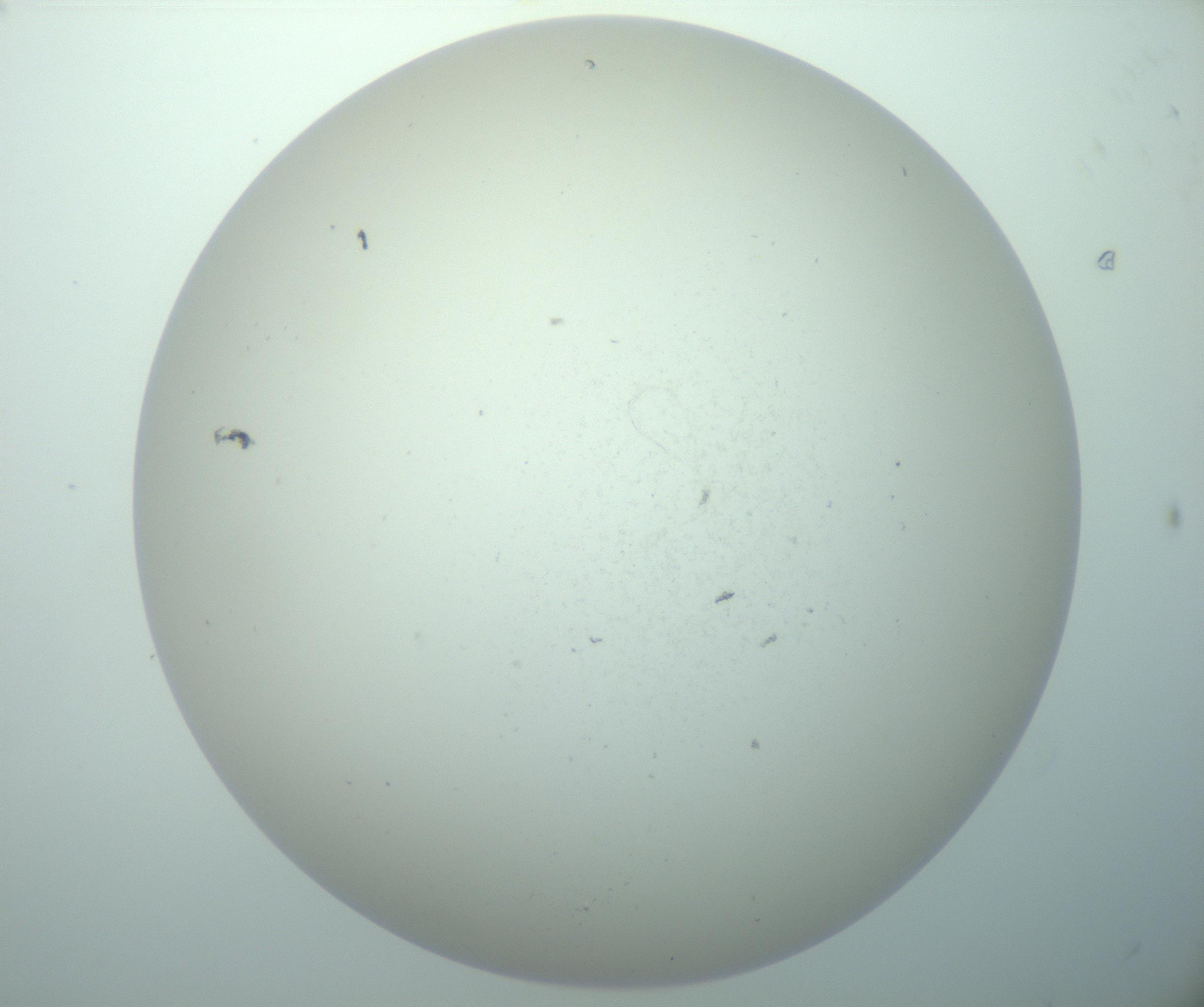 RI01_03_000_0212_Proj1_Clon1_MC_0000MC103015_002_161120_11_05_02_00_99_002_001_RAI.jpg