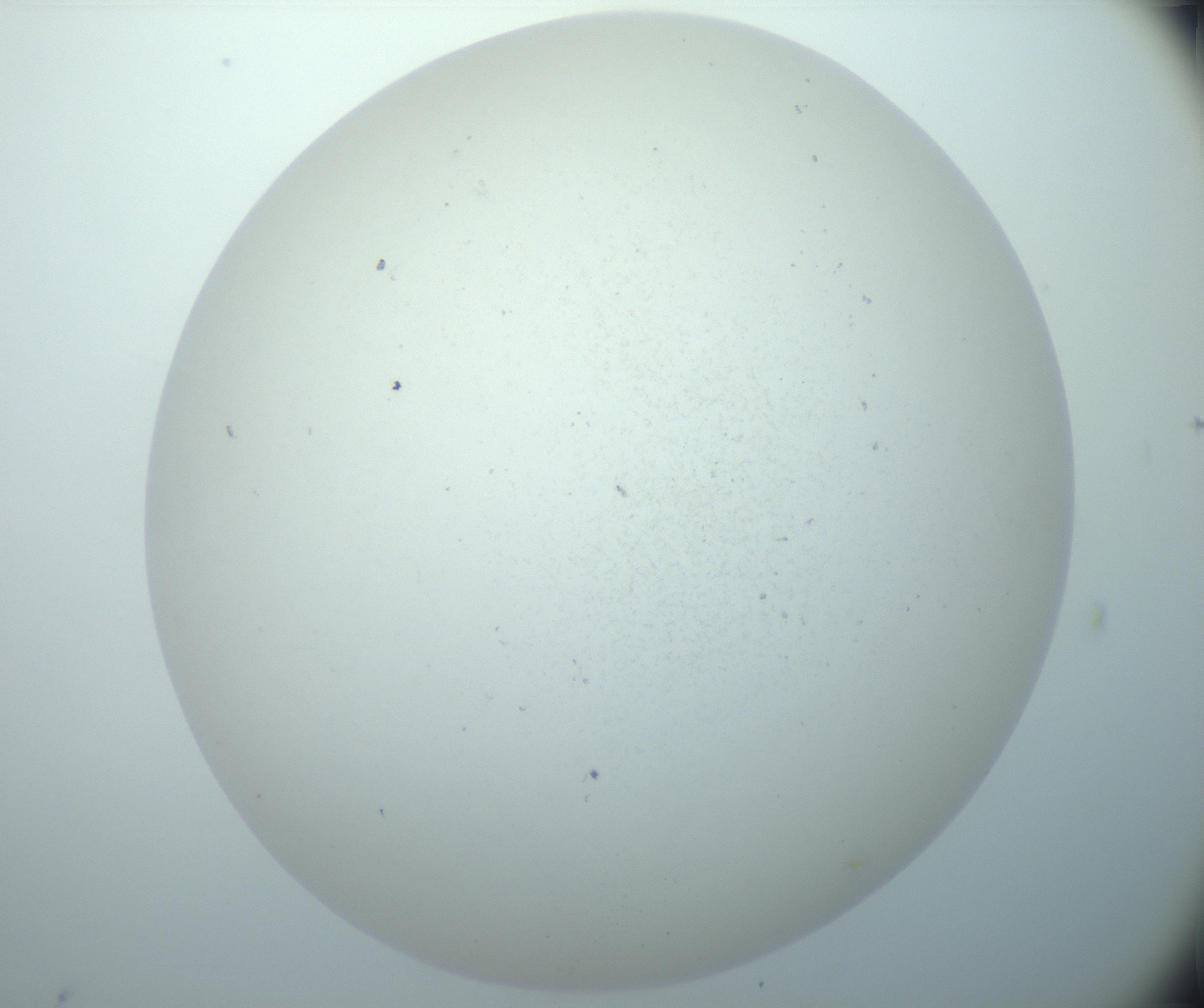 RI01_03_000_0212_Proj1_Clon1_MC_0000MC103015_002_161120_11_06_02_00_99_002_001_RAI.jpg