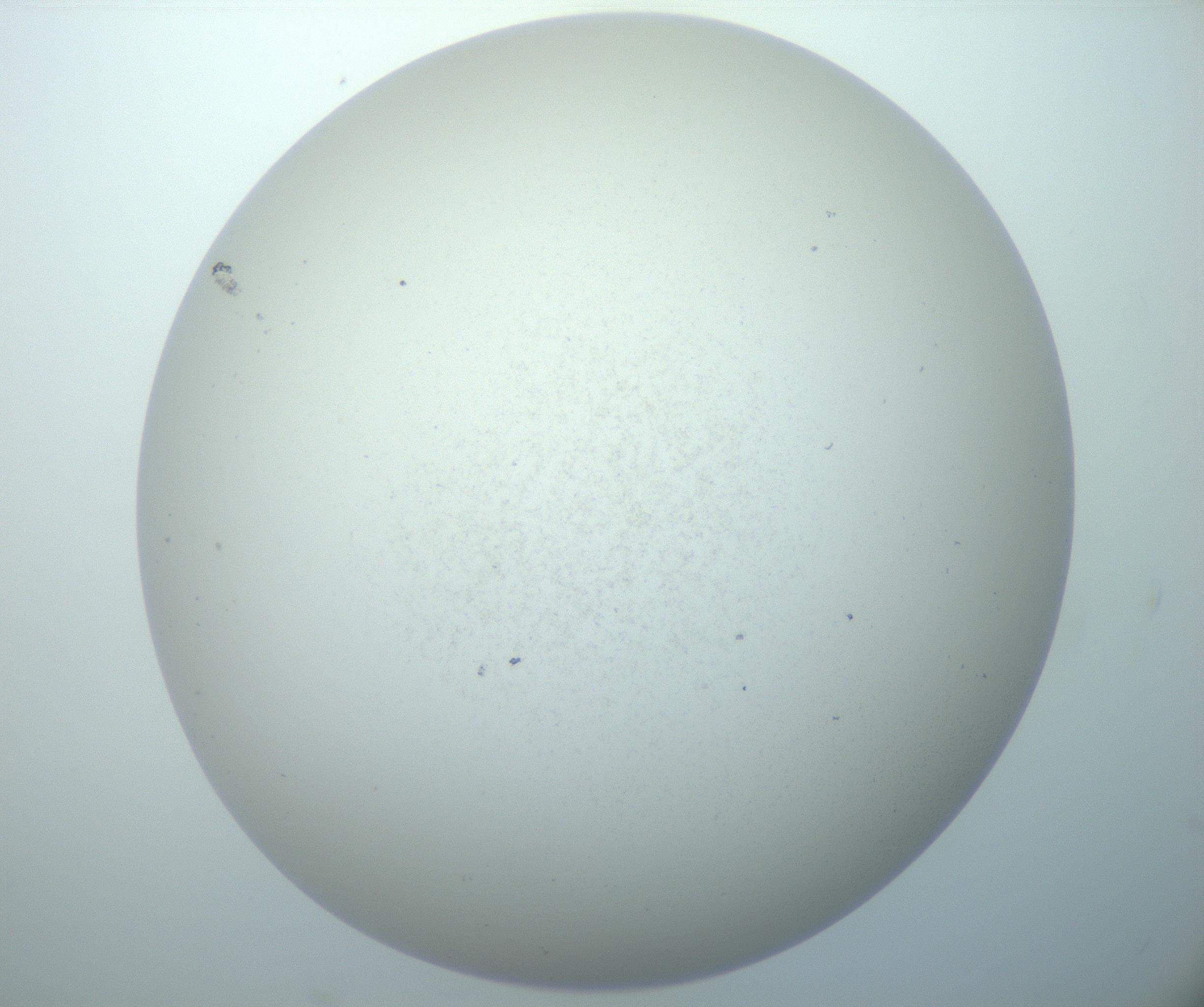 RI01_03_000_0212_Proj1_Clon1_MC_0000MC103015_002_161120_11_07_02_00_99_002_001_RAI.jpg