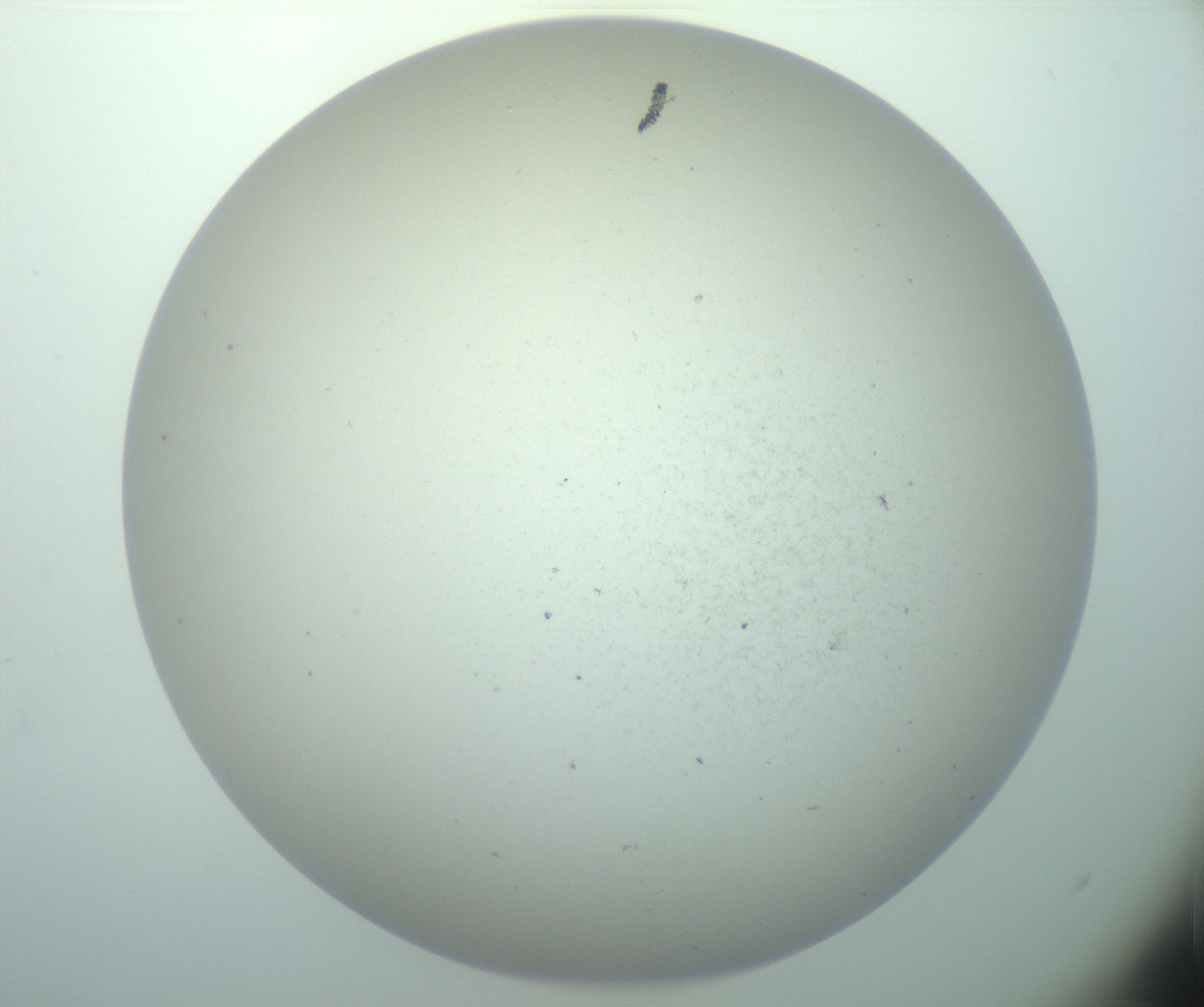 RI01_03_000_0212_Proj1_Clon1_MC_0000MC103015_002_161120_12_02_02_00_99_002_001_RAI.jpg