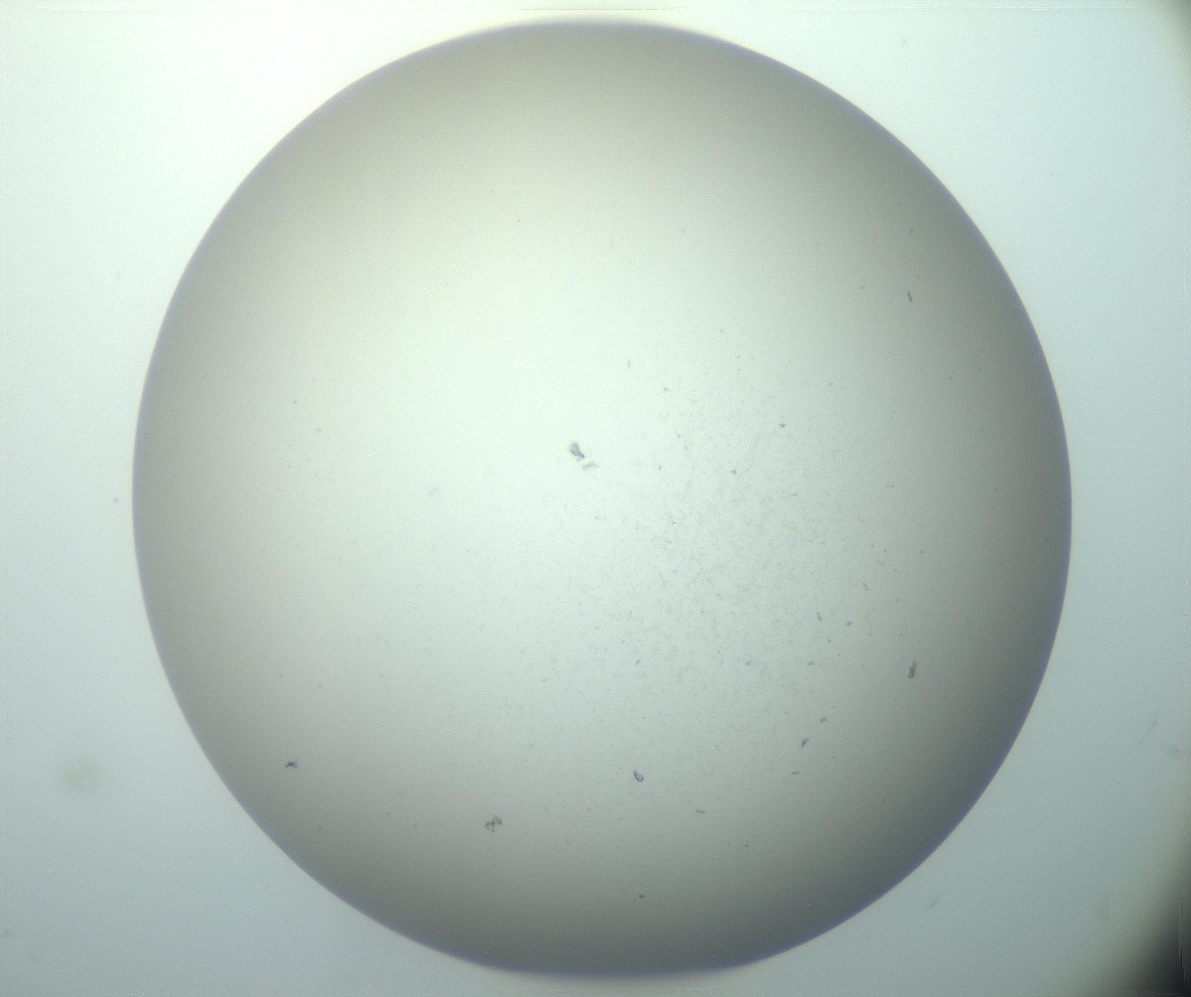 RI01_03_000_0212_Proj1_Clon1_MC_0000MC103015_002_161120_12_03_02_00_99_002_001_RAI.jpg