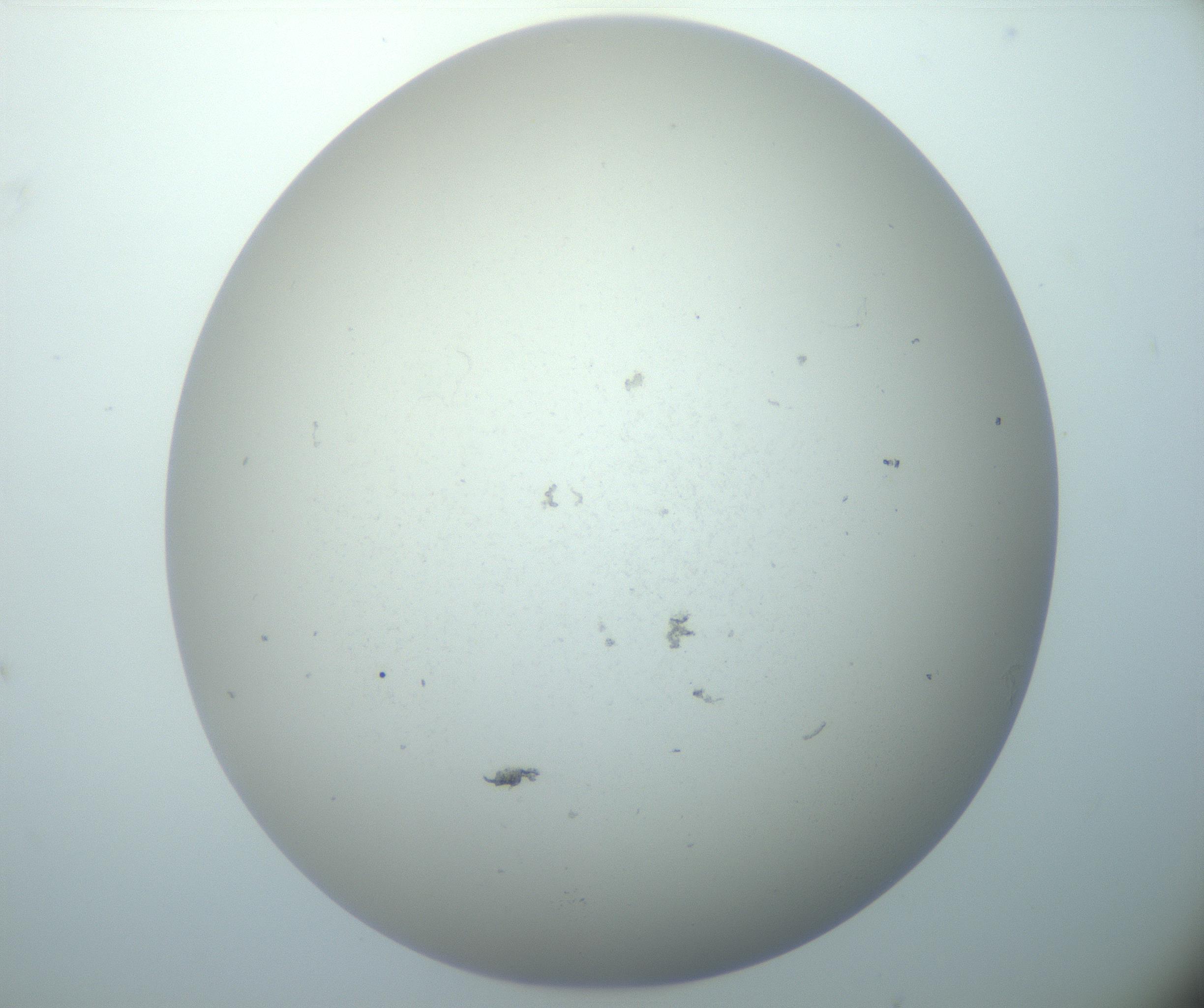 RI01_03_000_0212_Proj1_Clon1_MC_0000MC103015_002_161120_12_04_02_00_99_002_001_RAI.jpg