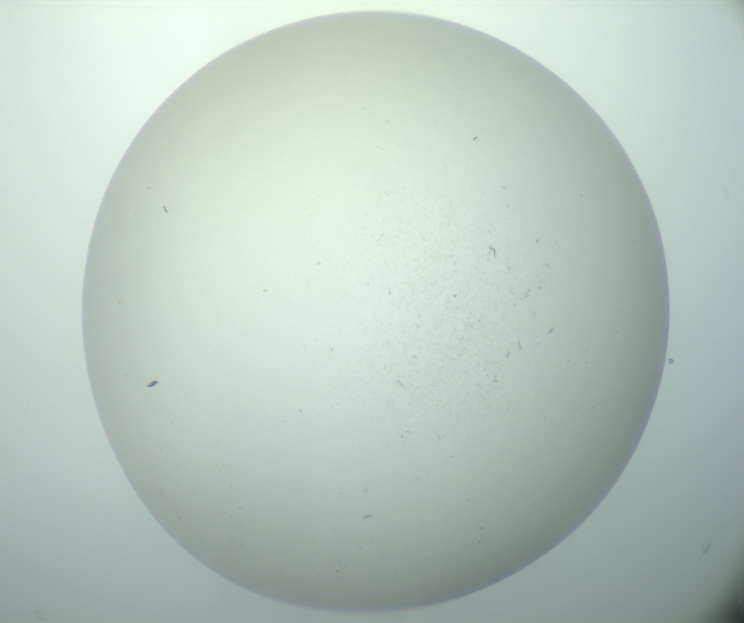RI01_03_000_0212_Proj1_Clon1_MC_0000MC103015_002_161120_12_05_02_00_99_002_001_RAI.jpg