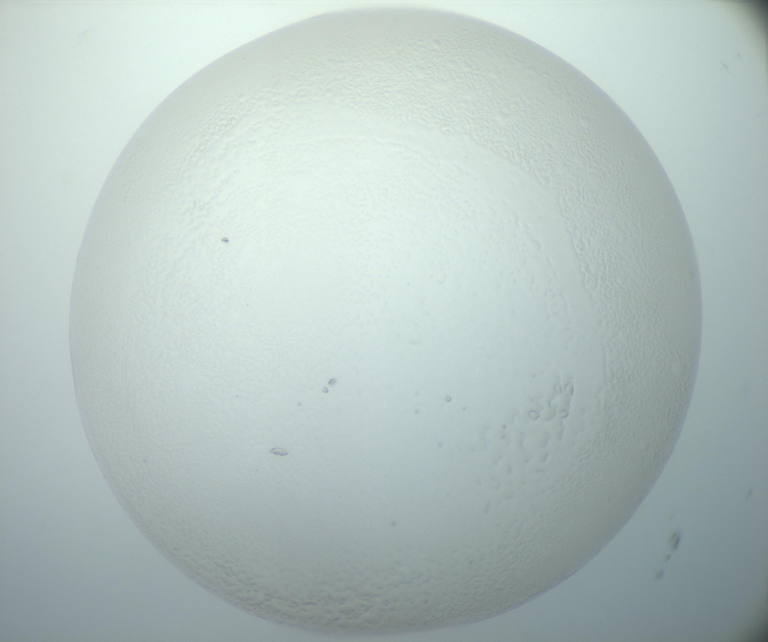 RI01_03_000_0212_Proj1_Clon1_MC_0000MC103015_002_161120_12_06_01_00_99_002_001_RAI.jpg