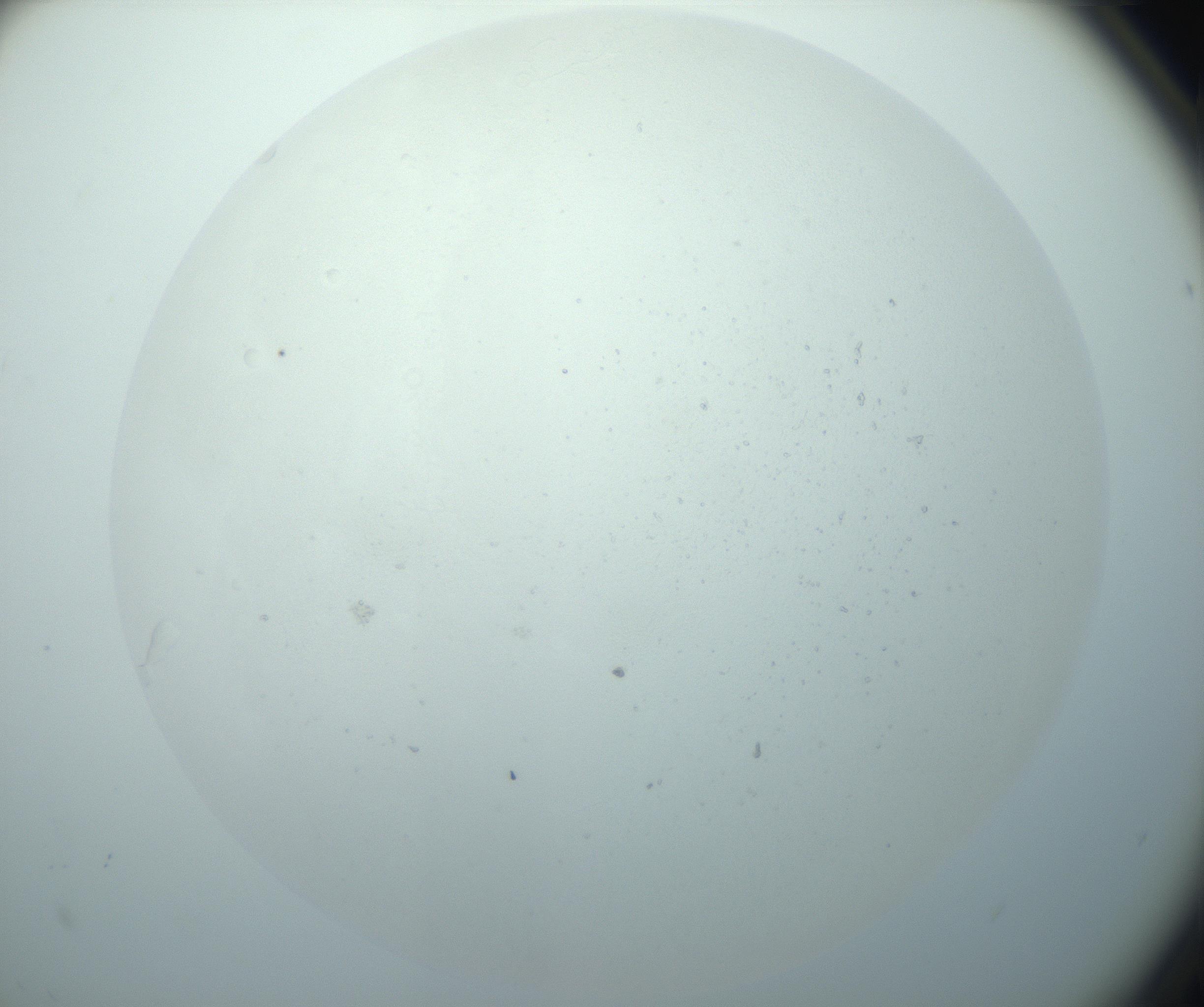 RI01_03_000_0212_Proj1_Clon1_MC_0000MC103015_002_161120_12_06_02_00_99_002_001_RAI.jpg