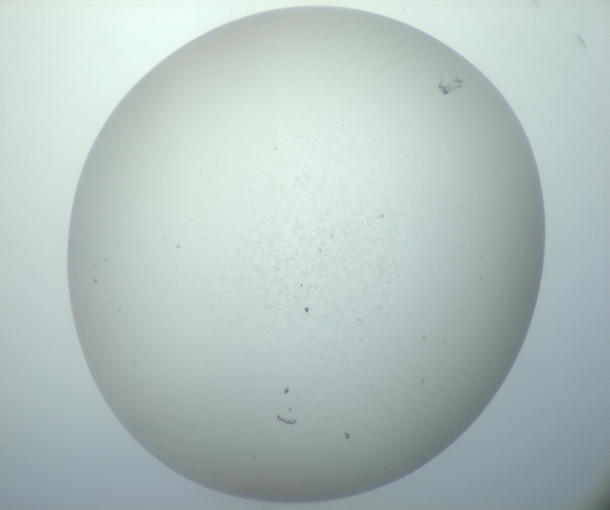 RI01_03_000_0212_Proj1_Clon1_MC_0000MC103015_002_161120_12_07_02_00_99_002_001_RAI.jpg