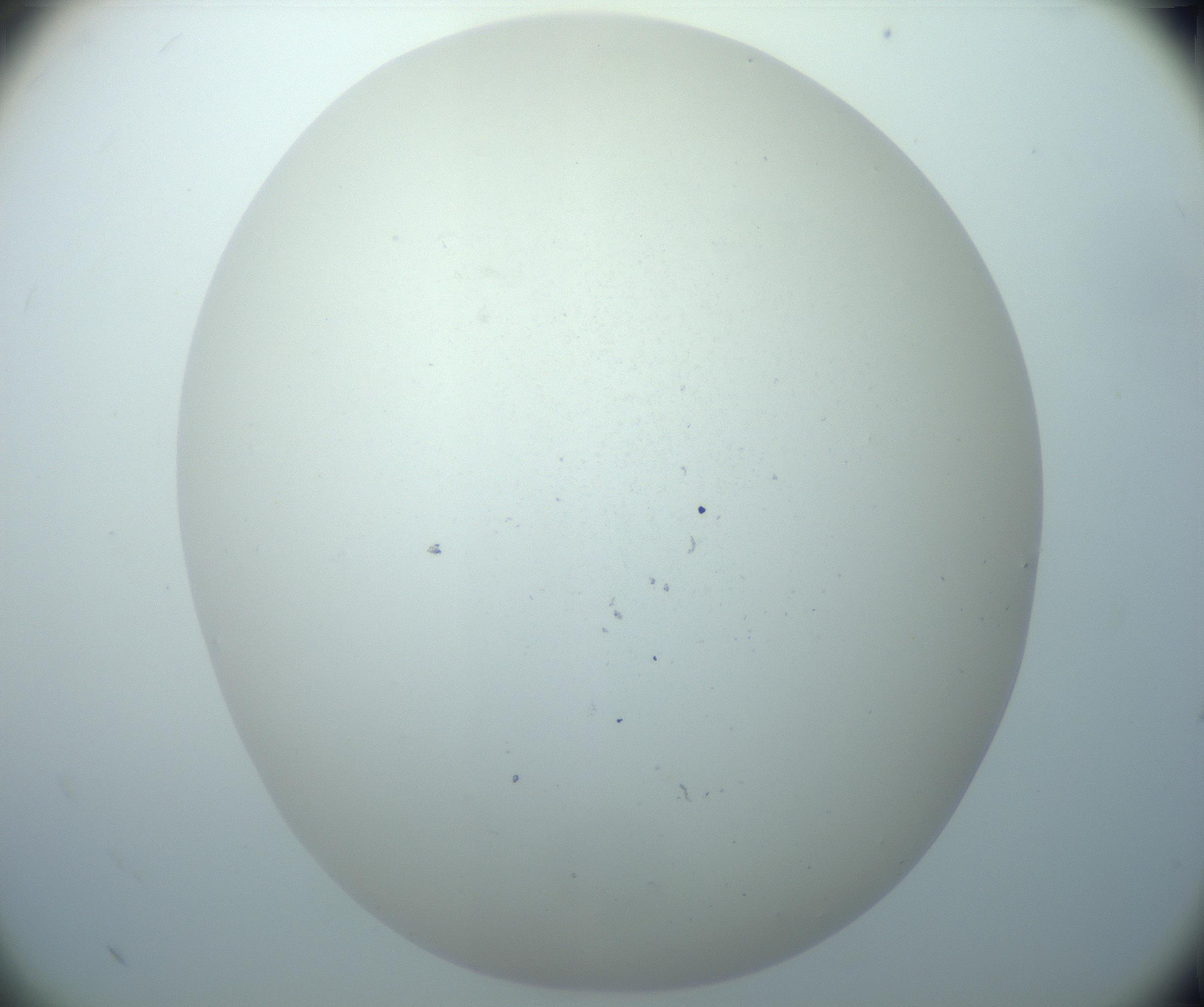 RI01_03_000_0212_Proj1_Clon1_MC_0000MC103015_002_161120_12_08_02_00_99_002_001_RAI.jpg