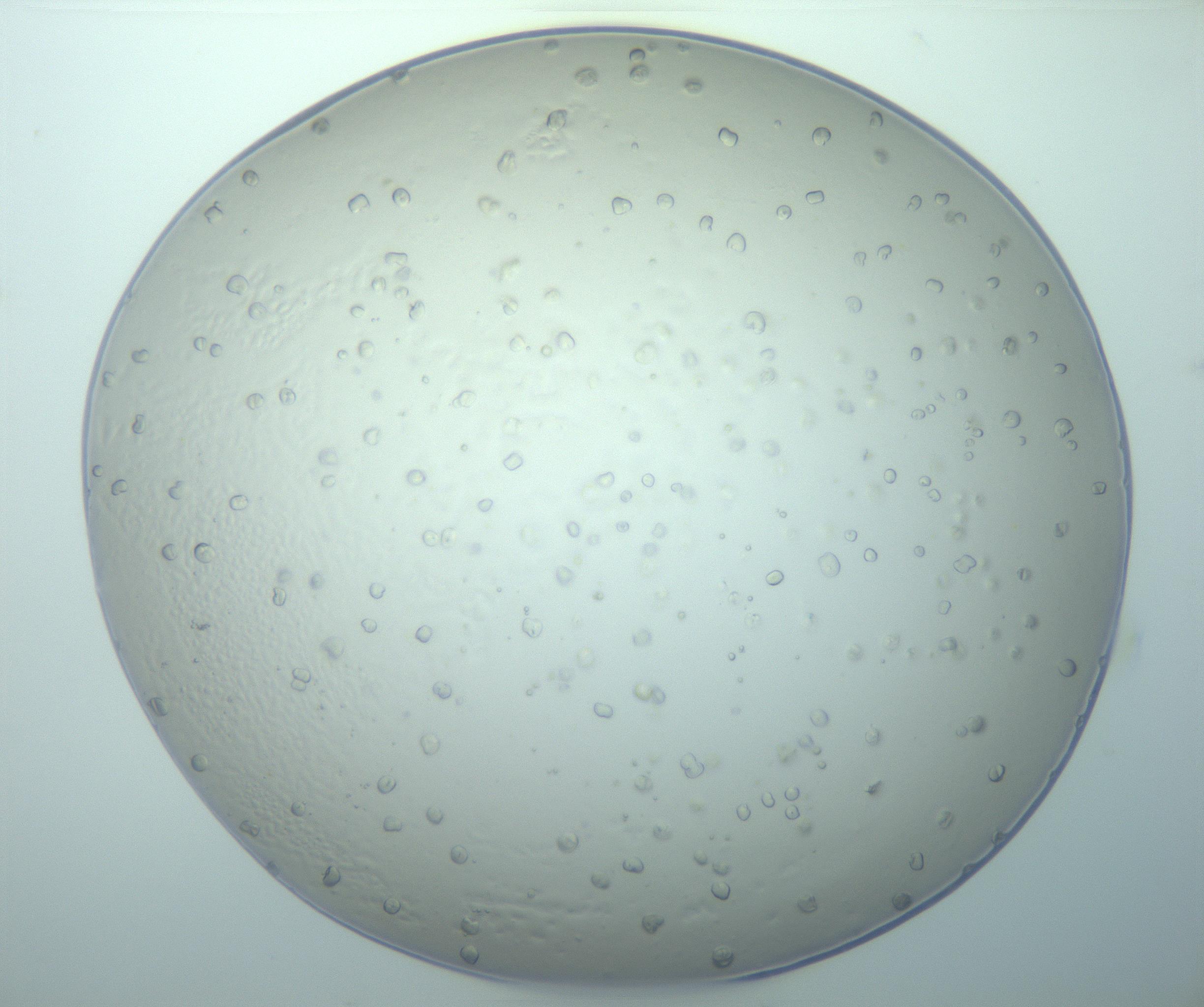RI01_03_000_0212_Proj1_Clon1_MC_0000MC103016_015_170128_07_05_02_00_99_002_001_RAI.jpg