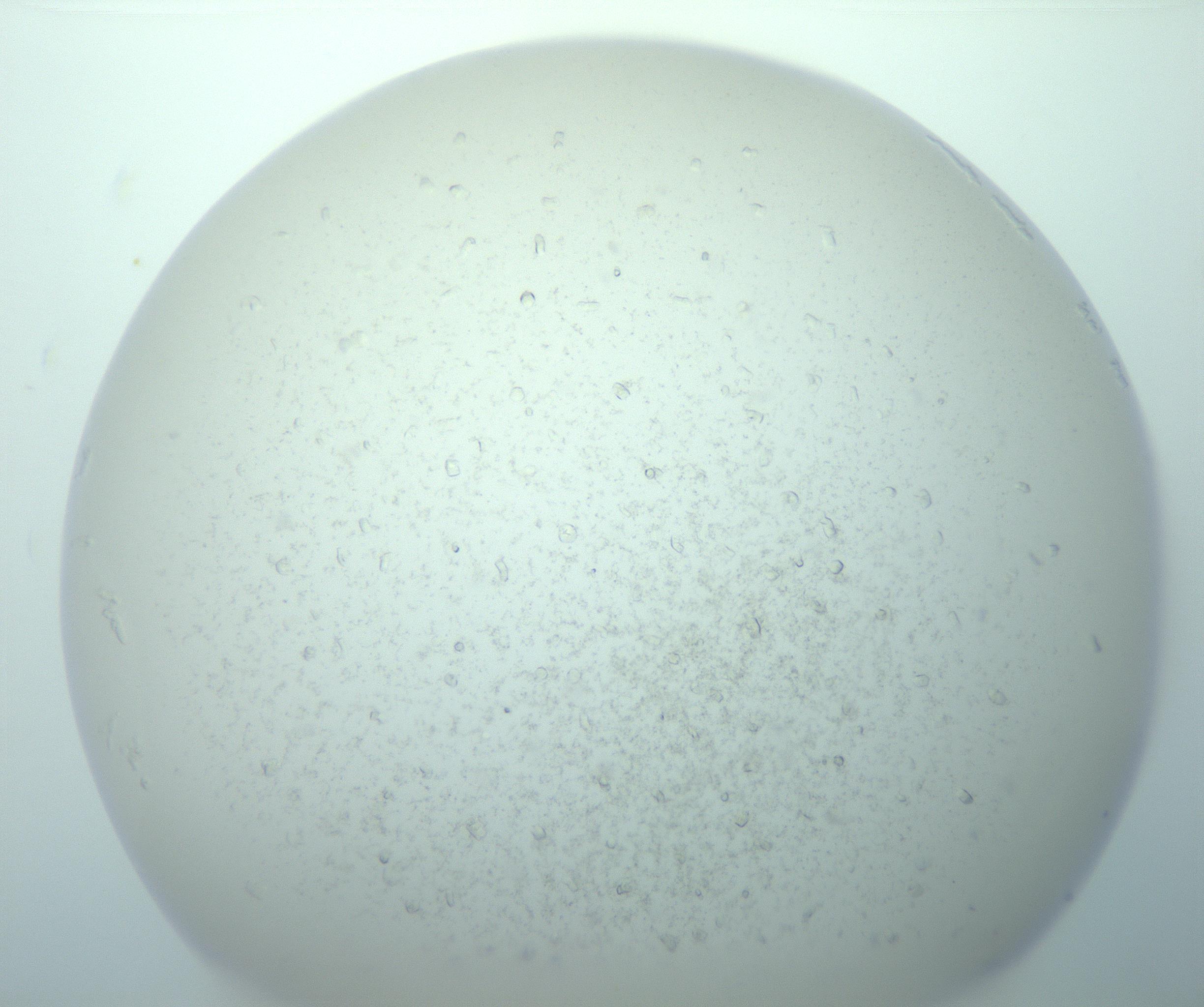 RI01_03_000_0212_Proj1_Clon1_MC_0000MC103018_014_170128_08_02_02_00_99_002_001_RAI.jpg