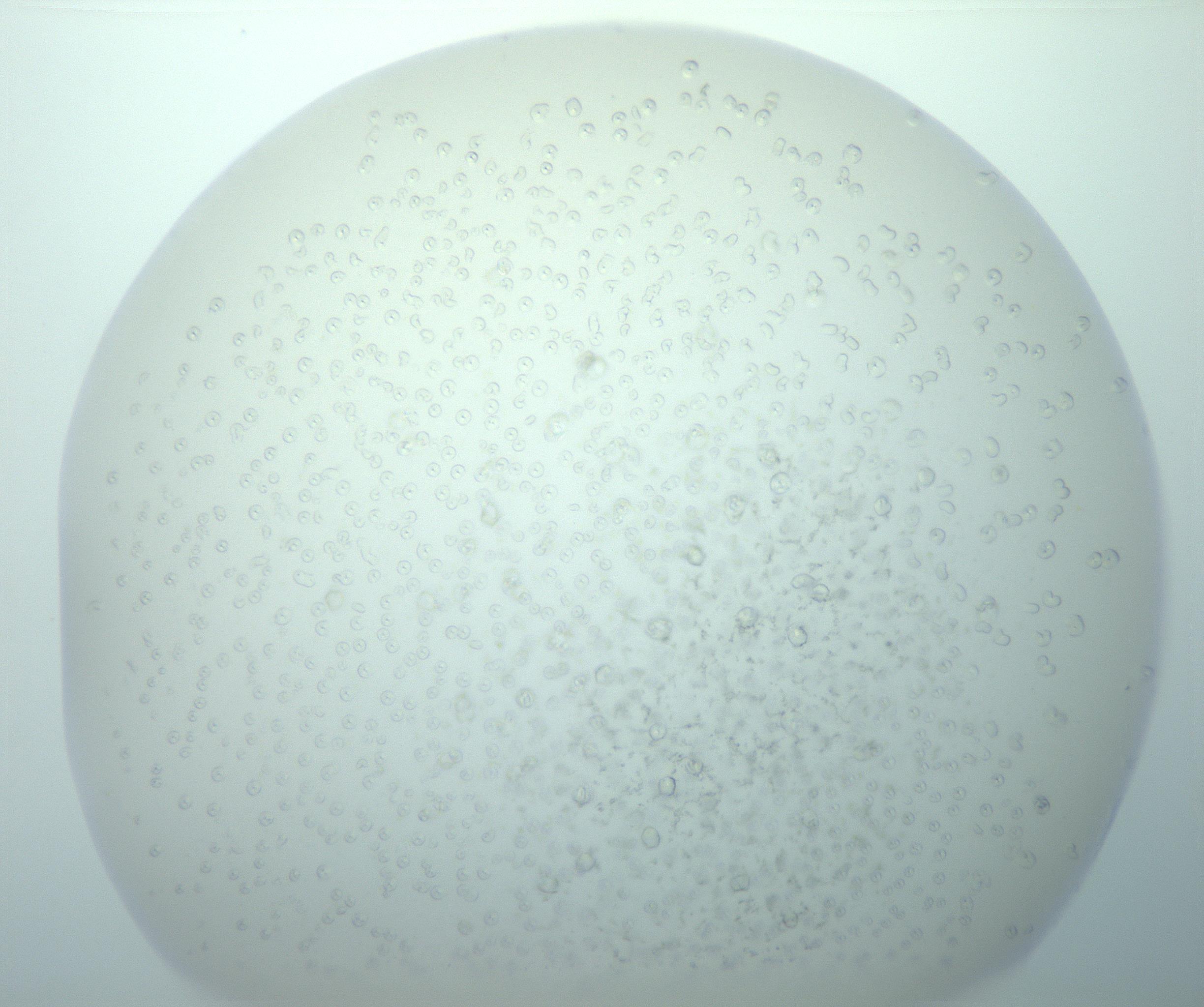 RI01_03_000_0212_Proj1_Clon1_MC_0000MC103018_014_170128_09_02_02_00_99_002_001_RAI.jpg