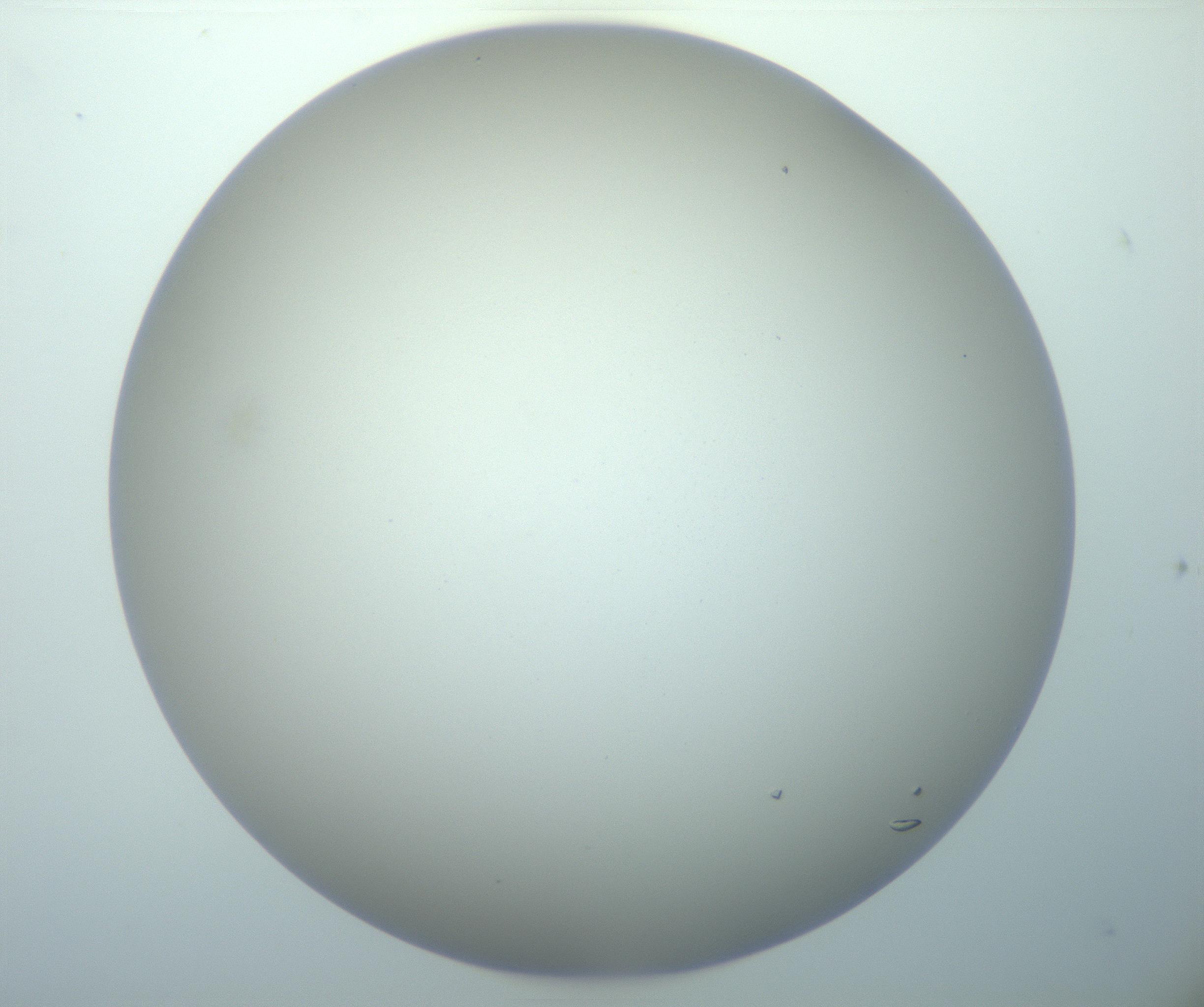 RI01_03_000_0212_Proj1_Clon1_MC_0000MC103019_005_161126_04_03_02_00_99_002_001_RAI.jpg