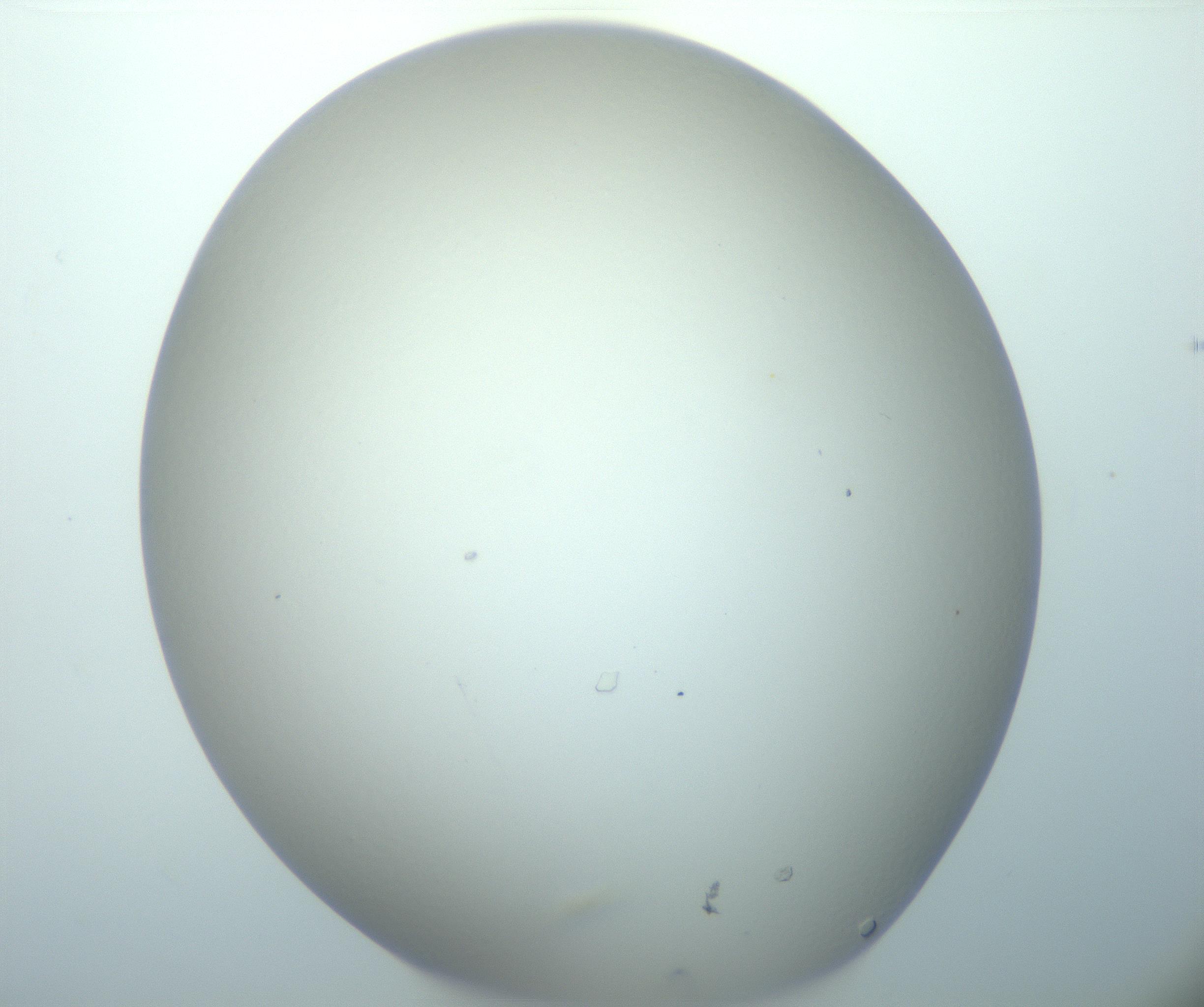 RI01_03_000_0212_Proj1_Clon1_MC_0000MC103019_005_161126_07_02_02_00_99_002_001_RAI.jpg