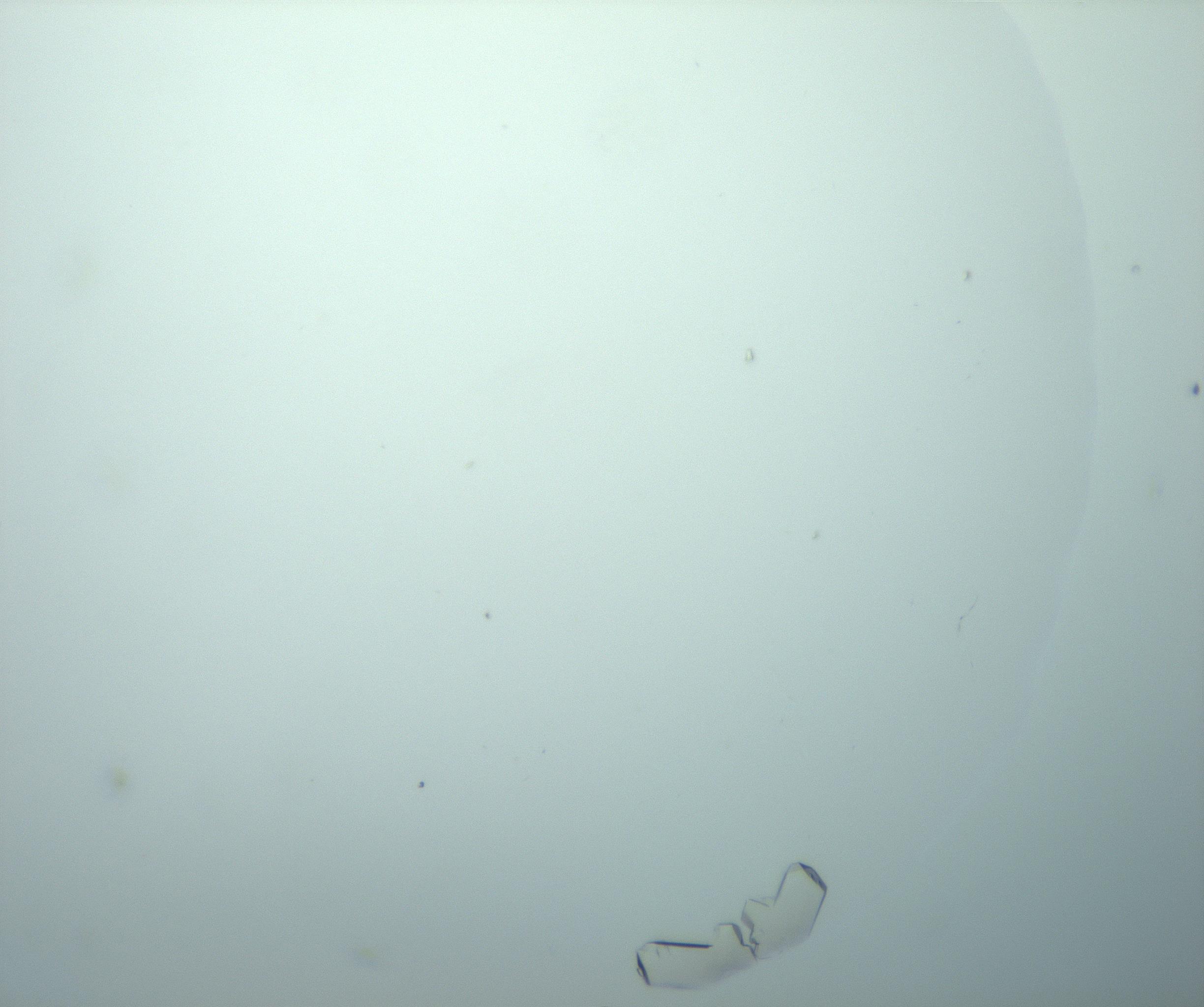 RI01_03_000_0212_Proj1_Clon1_MC_0000MC103019_015_170128_10_03_02_00_99_002_001_RAI.jpg
