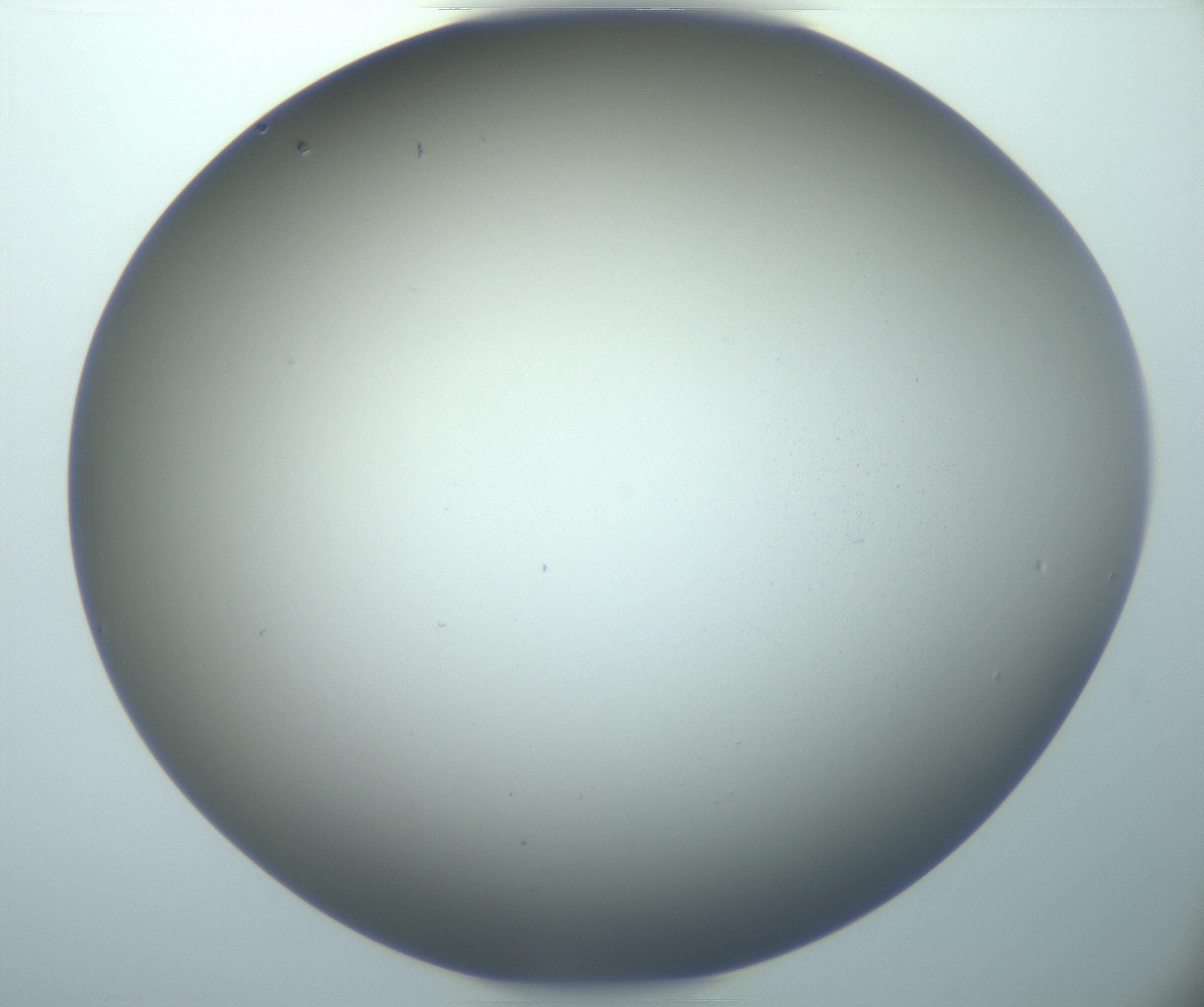 RI01_03_000_0212_Proj1_Clon1_MC_0000MC103020_005_161126_02_01_02_00_99_002_001_RAI.jpg