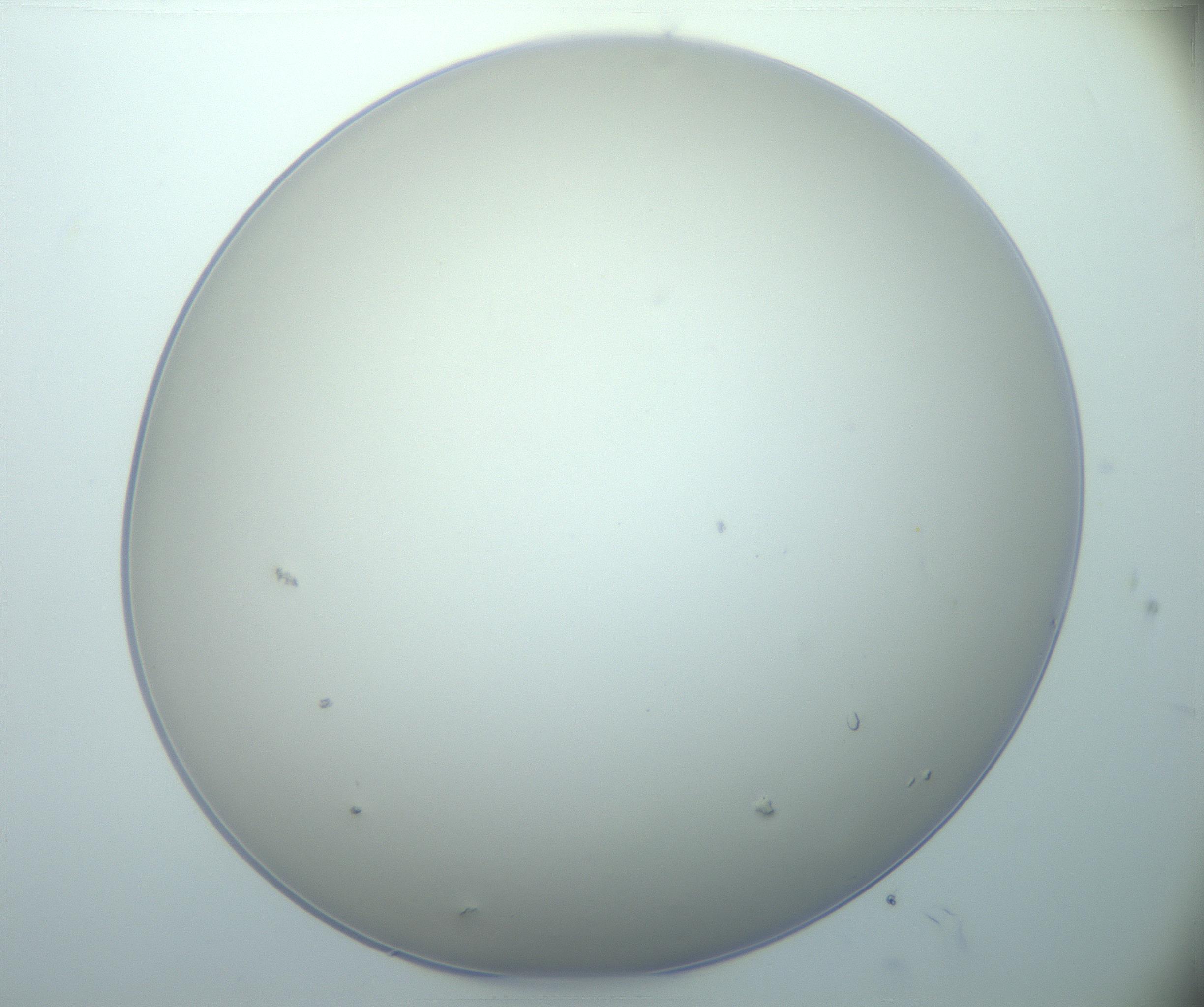 RI01_03_000_0212_Proj1_Clon1_MC_0000MC103020_005_161126_08_07_01_00_99_002_001_RAI.jpg