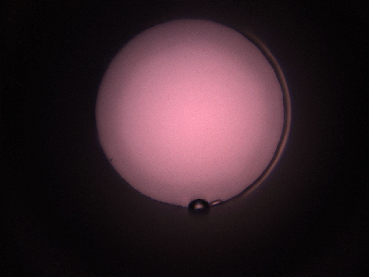 05i4_P8_ImagerDefaults_1.jpg