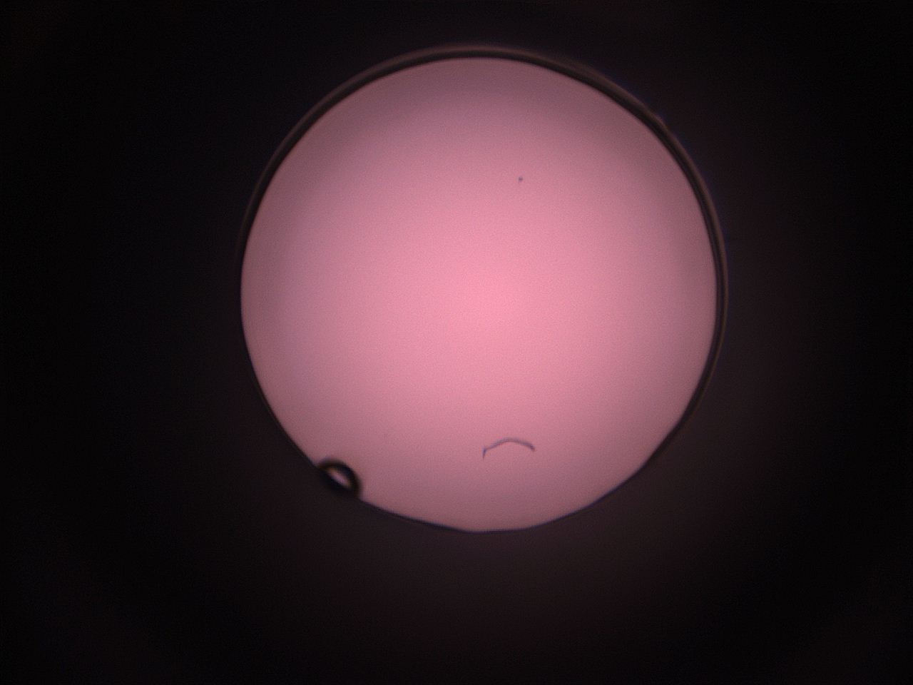 05i4_P12_ImagerDefaults_1.jpg