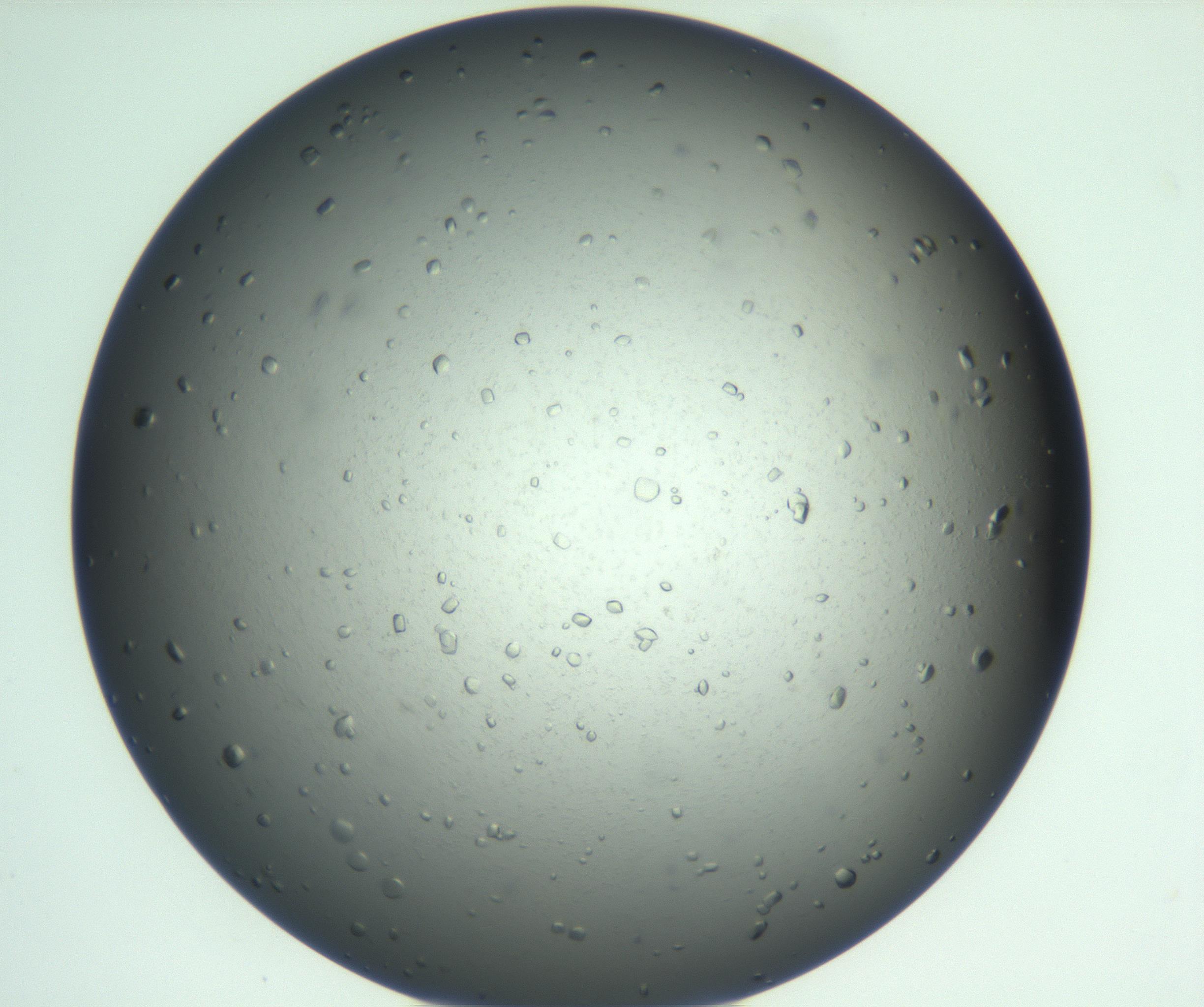 RI01_03_000_0212_Proj1_Clon1_MC_0000MC103025_006_161127_09_04_01_00_99_002_001_RAI.jpg