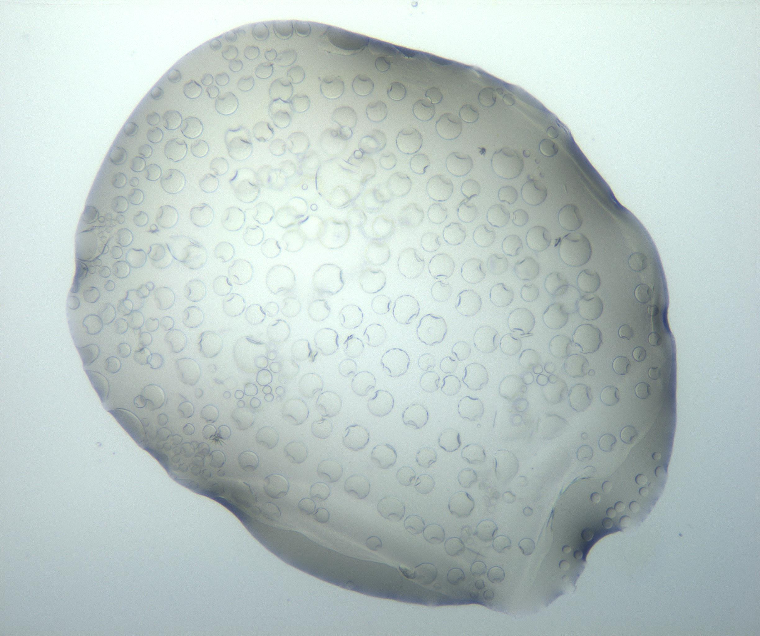 RI01_03_000_0212_Proj1_Clon1_MC_0000MC103027_003_161122_06_03_02_00_99_002_001_RAI.jpg