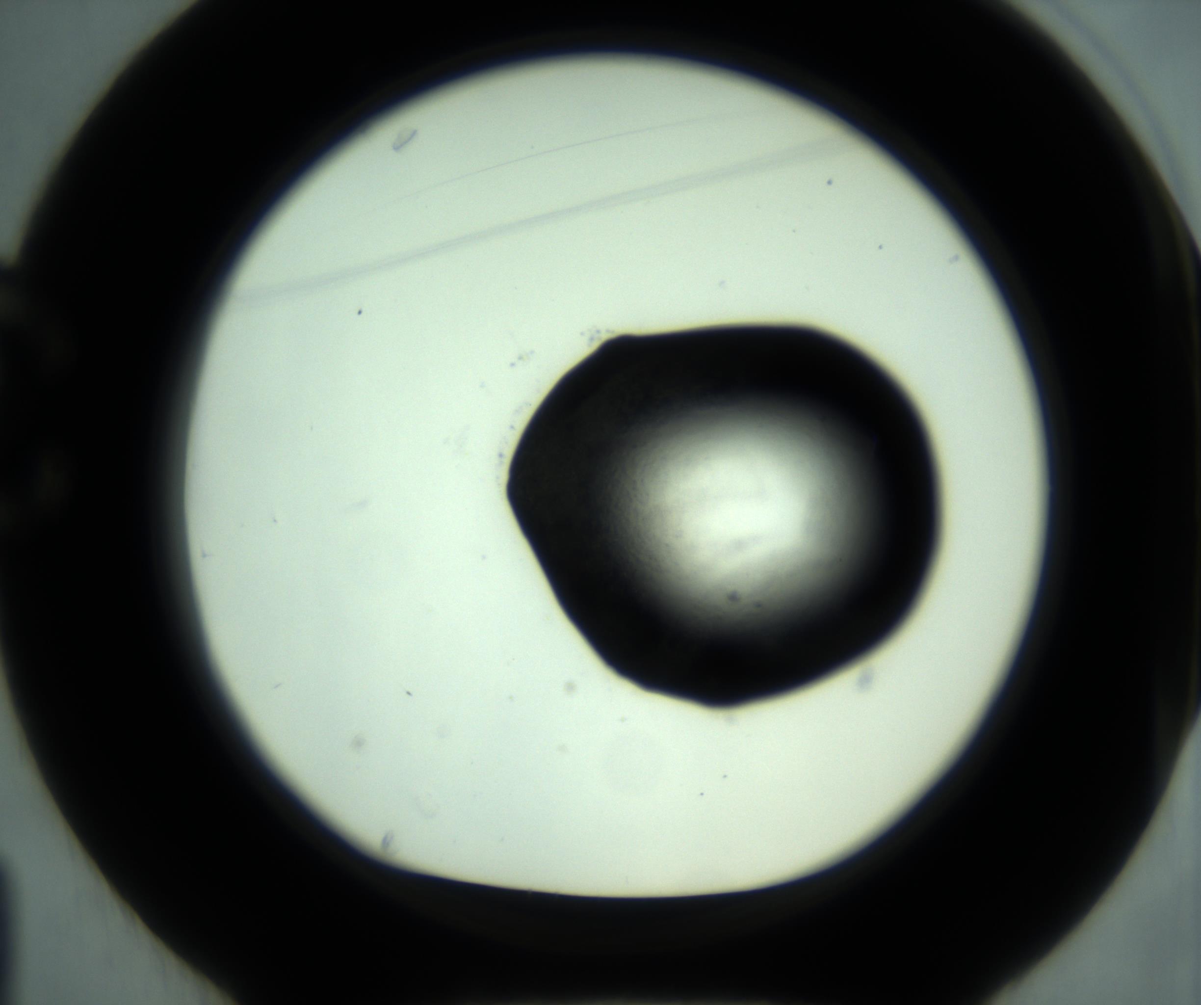 RI01_03_000_0212_Proj1_Clon1_MC_0000MC103028_001_161121_01_03_01_00_98_002_001_RAI.jpg
