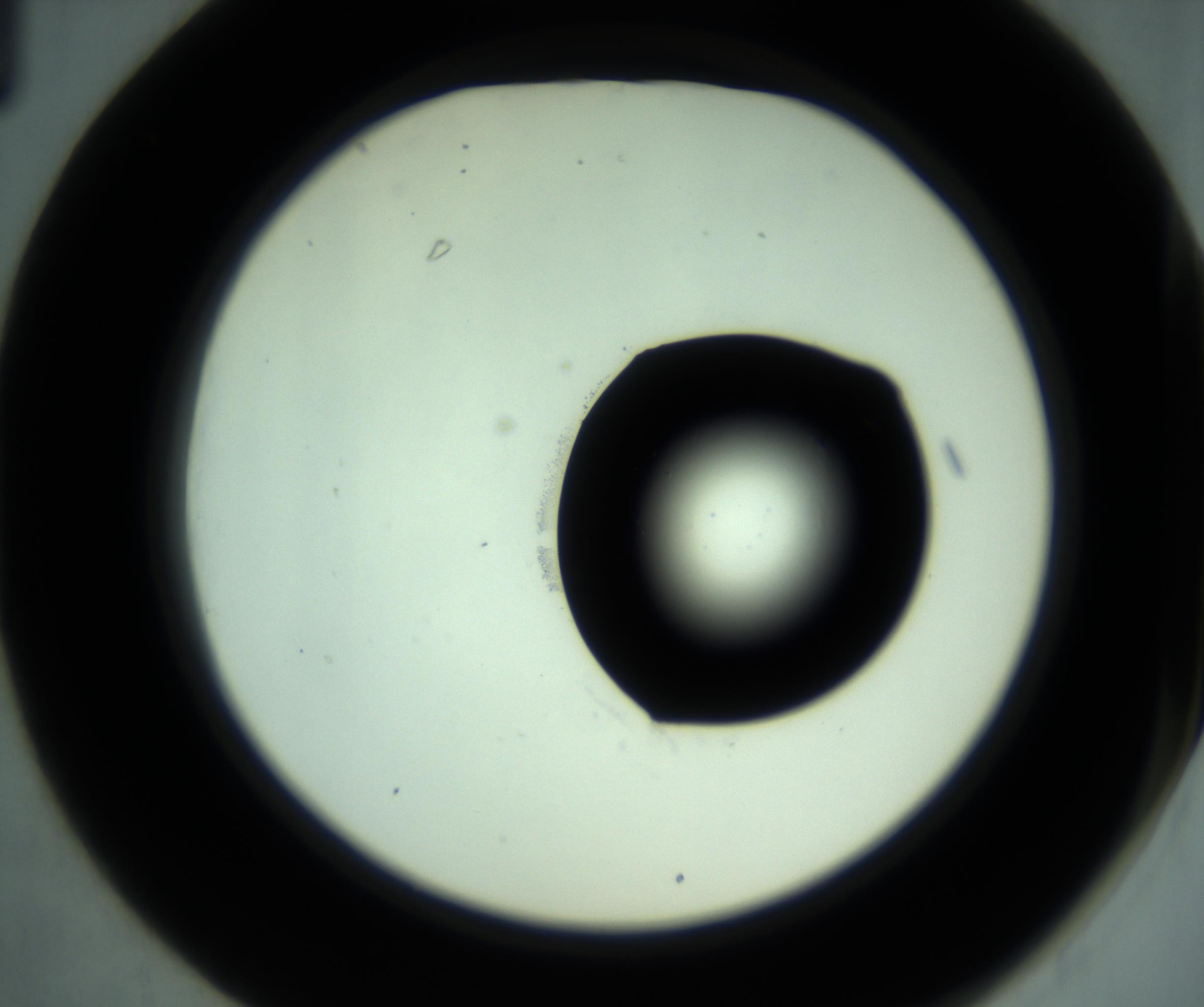 RI01_03_000_0212_Proj1_Clon1_MC_0000MC103028_001_161121_01_03_02_00_98_002_001_RAI.jpg