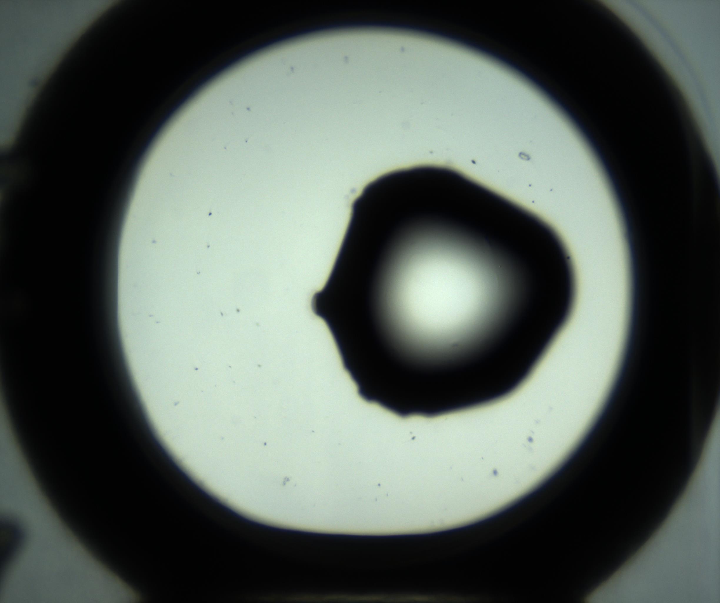 RI01_03_000_0212_Proj1_Clon1_MC_0000MC103028_001_161121_07_05_01_00_98_002_001_RAI.jpg