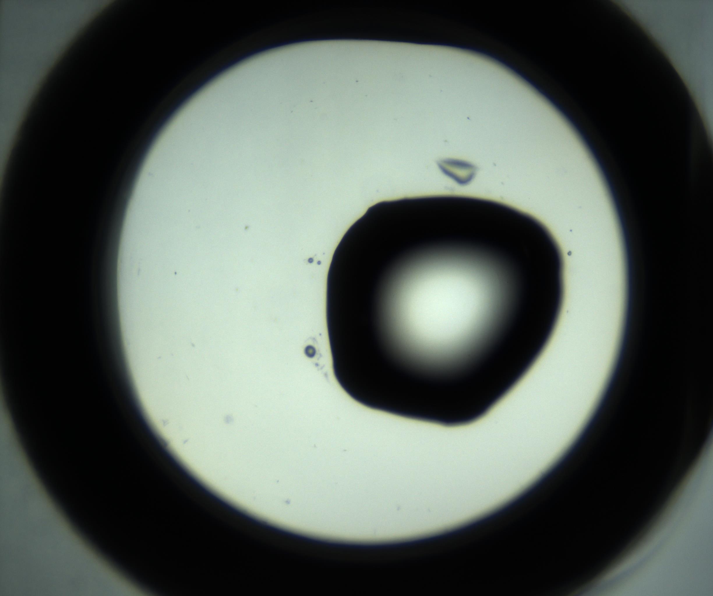 RI01_03_000_0212_Proj1_Clon1_MC_0000MC103028_001_161121_07_05_02_00_98_002_001_RAI.jpg