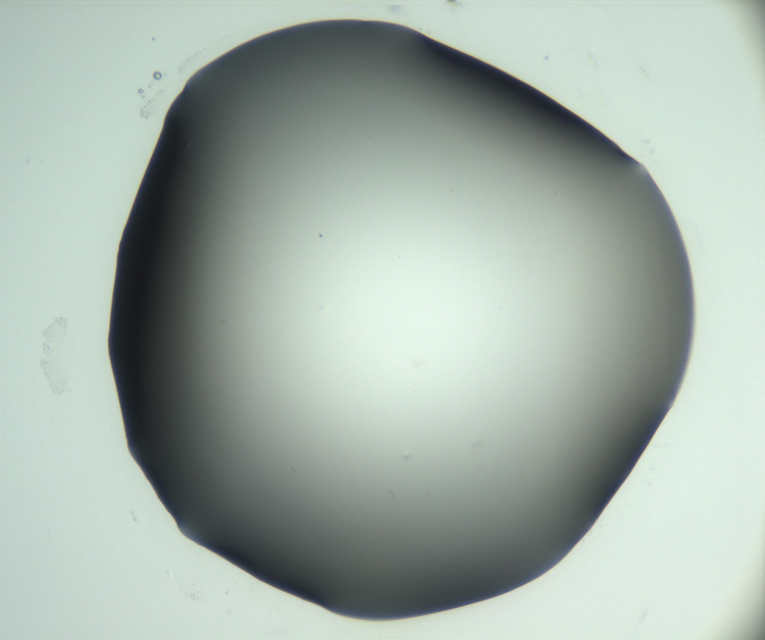 RI01_03_000_0212_Proj1_Clon1_MC_0000MC103028_002_161122_07_05_01_00_99_002_001_RAI.jpg