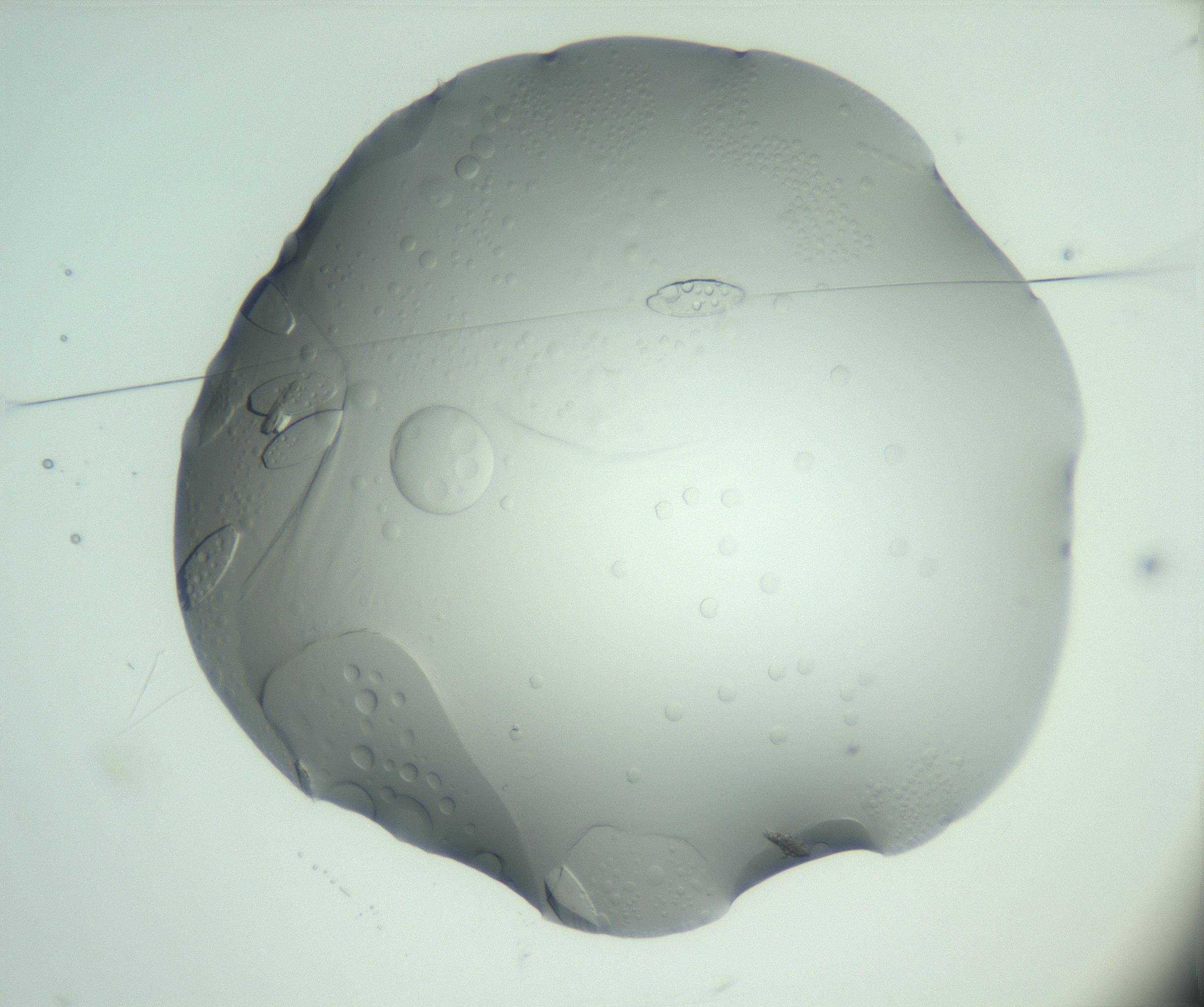 RI01_03_000_0212_Proj1_Clon1_MC_0000MC103028_003_161124_02_01_01_00_99_002_001_RAI.jpg