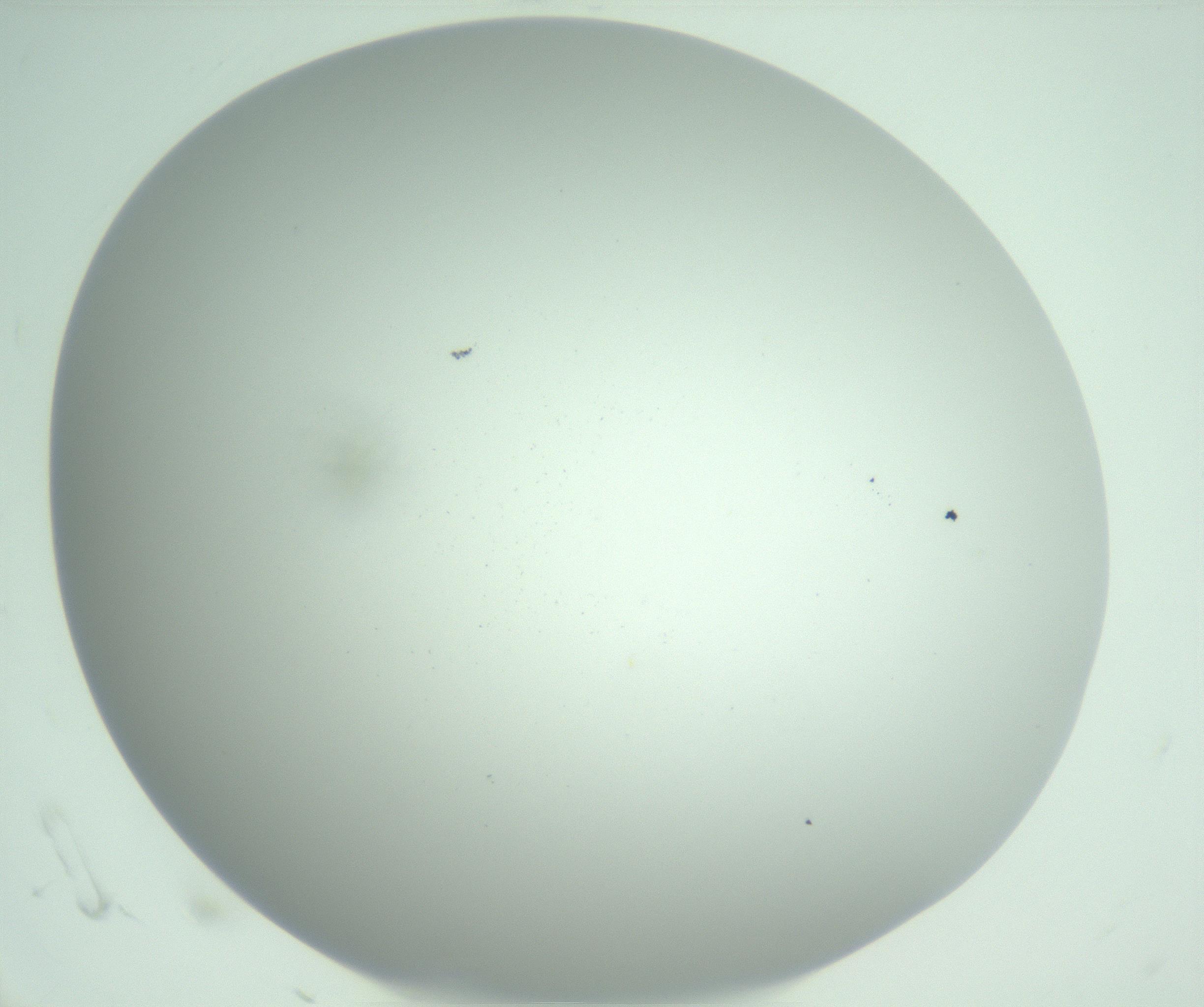 RI01_03_000_0212_Proj1_Clon1_MC_0000MC103029_002_161123_06_01_02_00_99_002_001_RAI.jpg