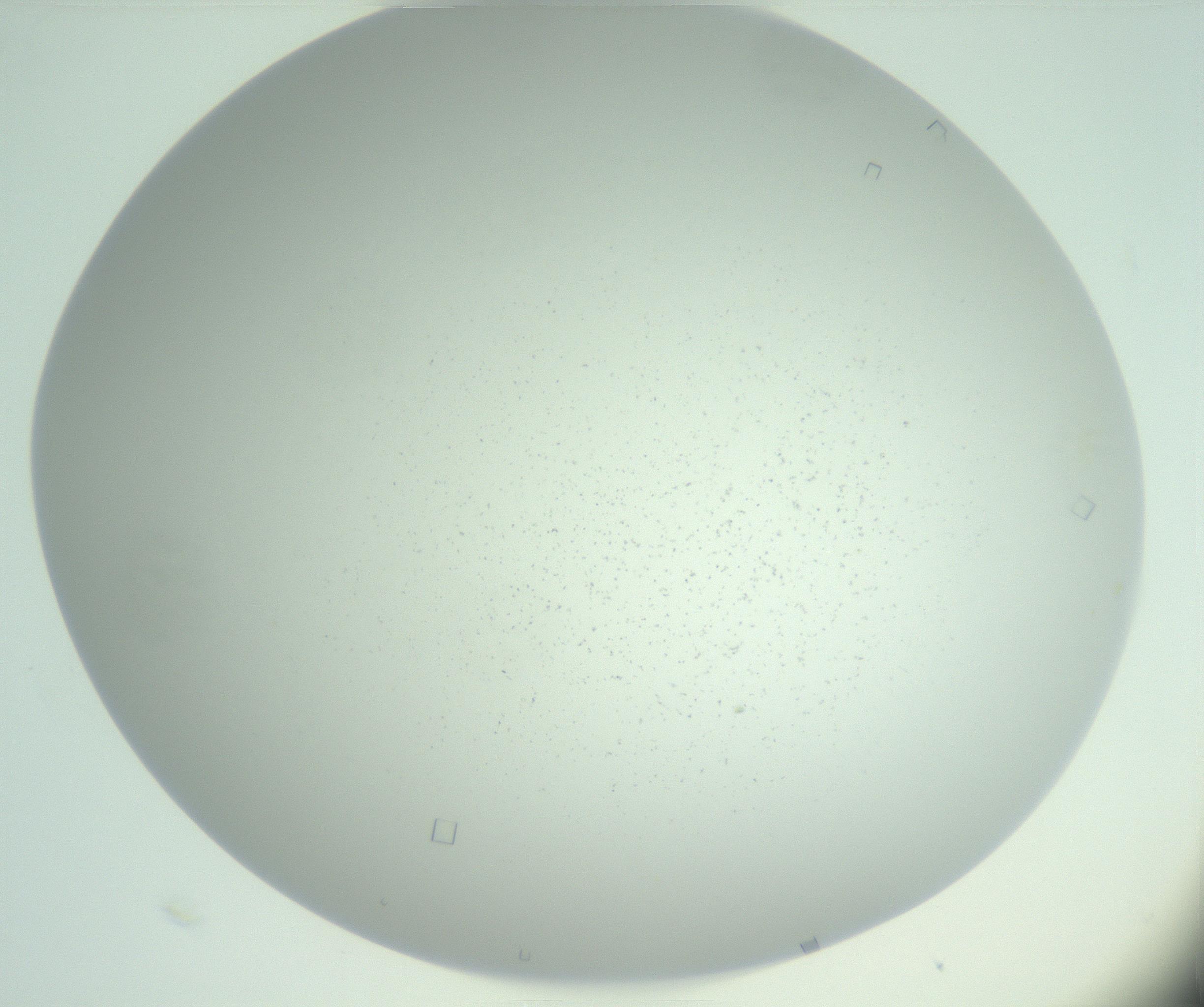 RI01_03_000_0212_Proj1_Clon1_MC_0000MC103029_002_161123_12_01_02_00_99_002_001_RAI.jpg