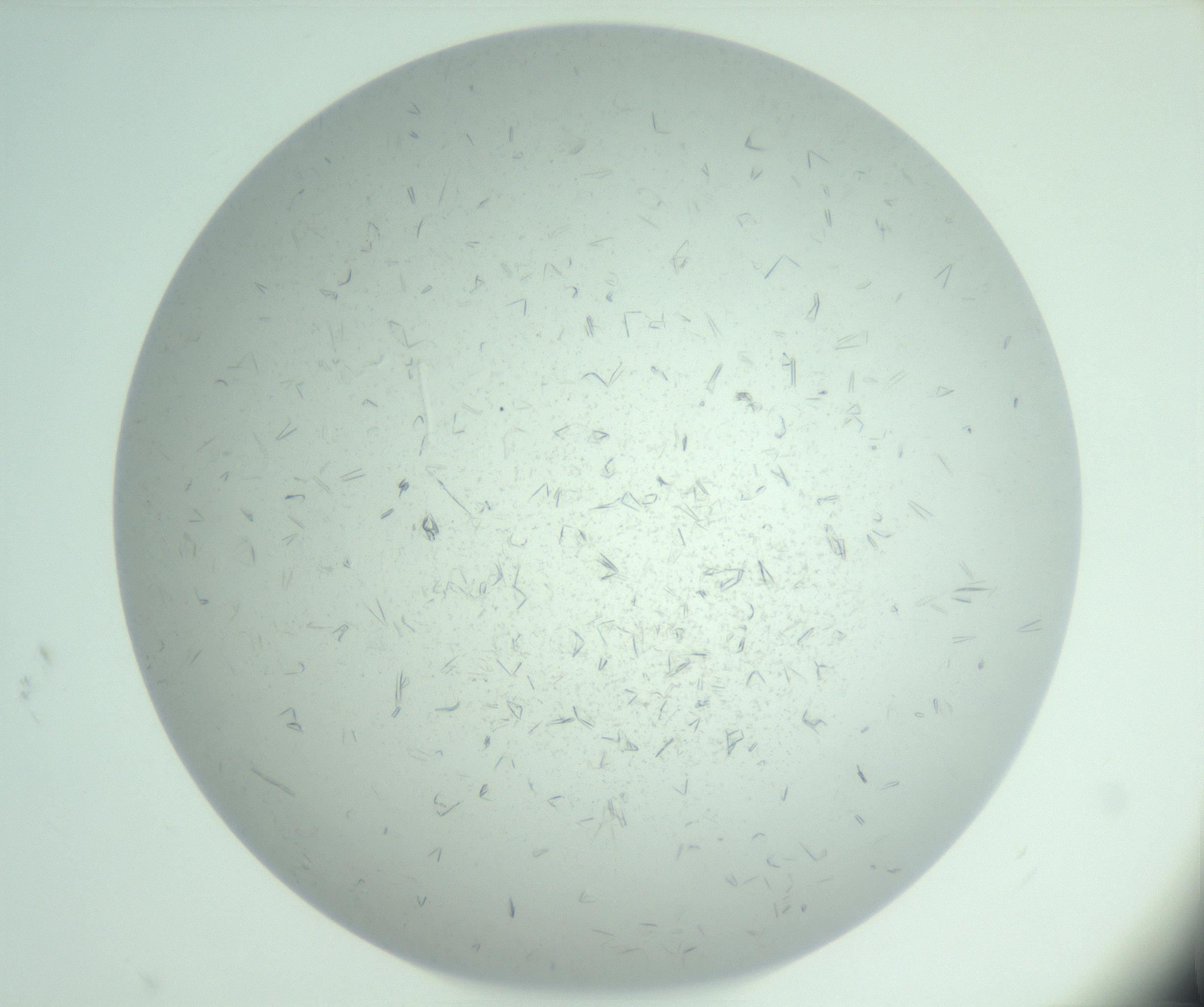 RI01_03_000_0212_Proj1_Clon1_MC_0000MC103031_004_161127_03_04_01_00_99_002_001_RAI.jpg