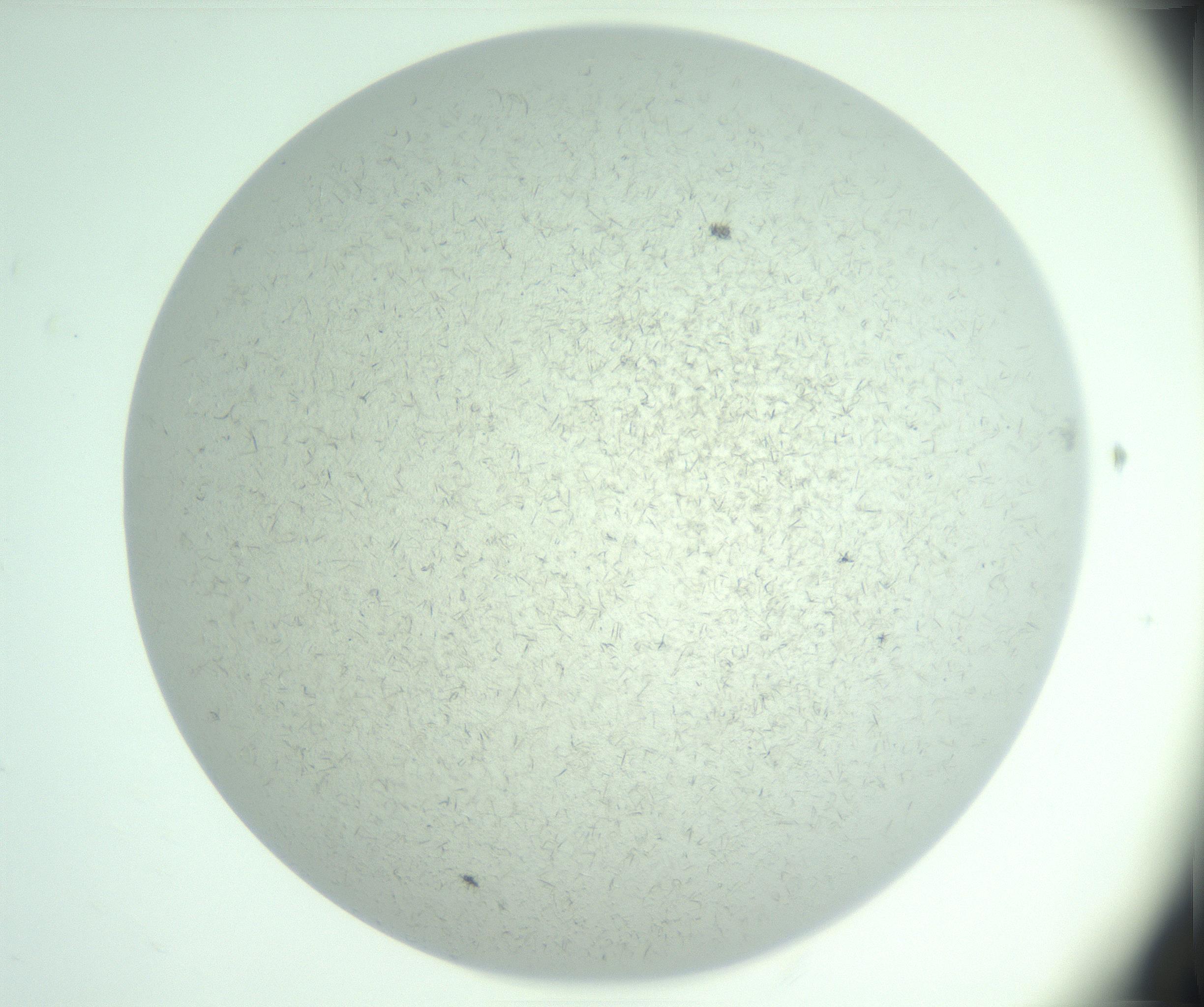 RI01_03_000_0212_Proj1_Clon1_MC_0000MC103031_004_161127_07_04_01_00_99_002_001_RAI.jpg