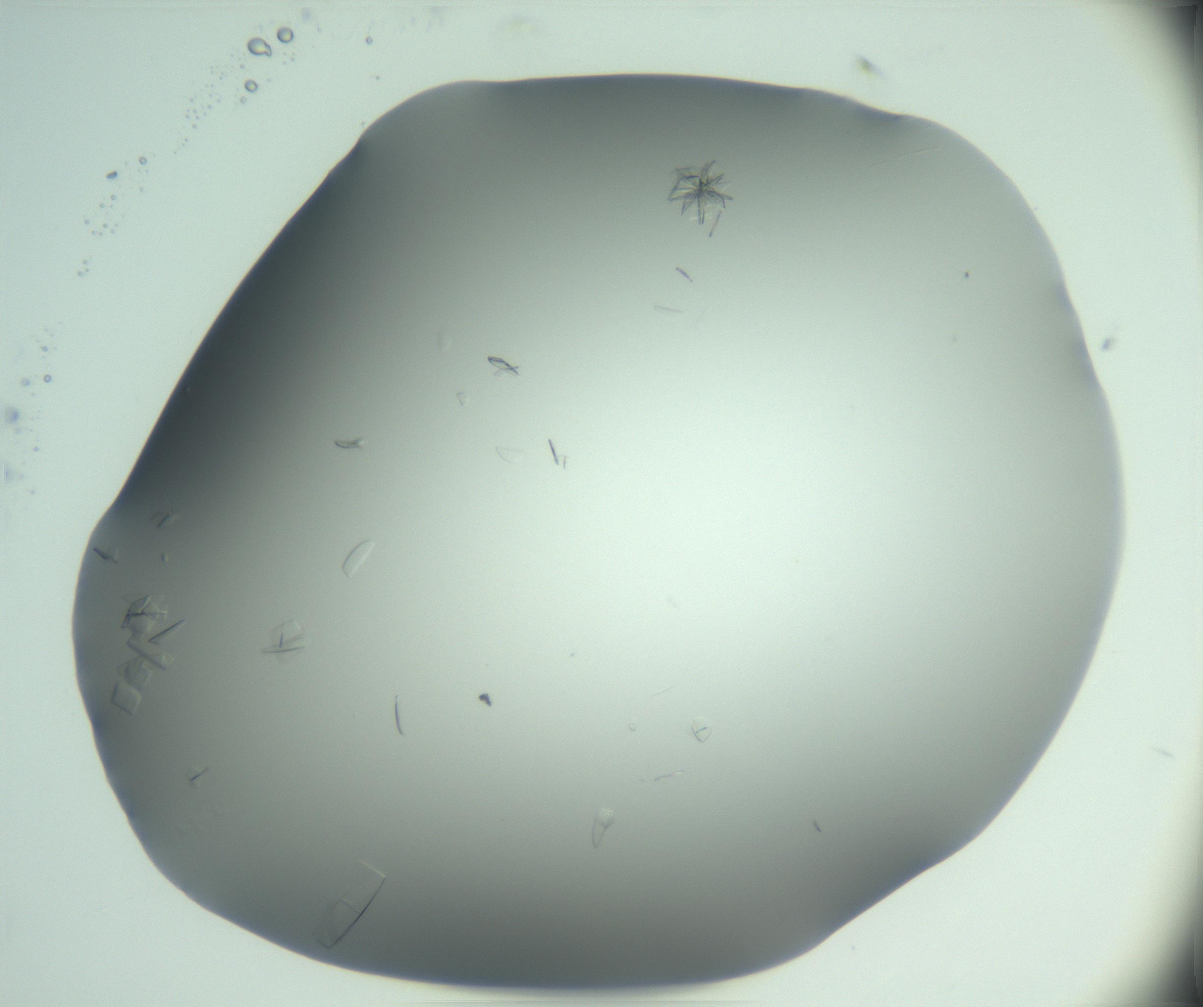 RI01_03_000_0212_Proj1_Clon1_MC_0000MC103046_002_161125_07_06_02_00_99_002_001_RAI.jpg