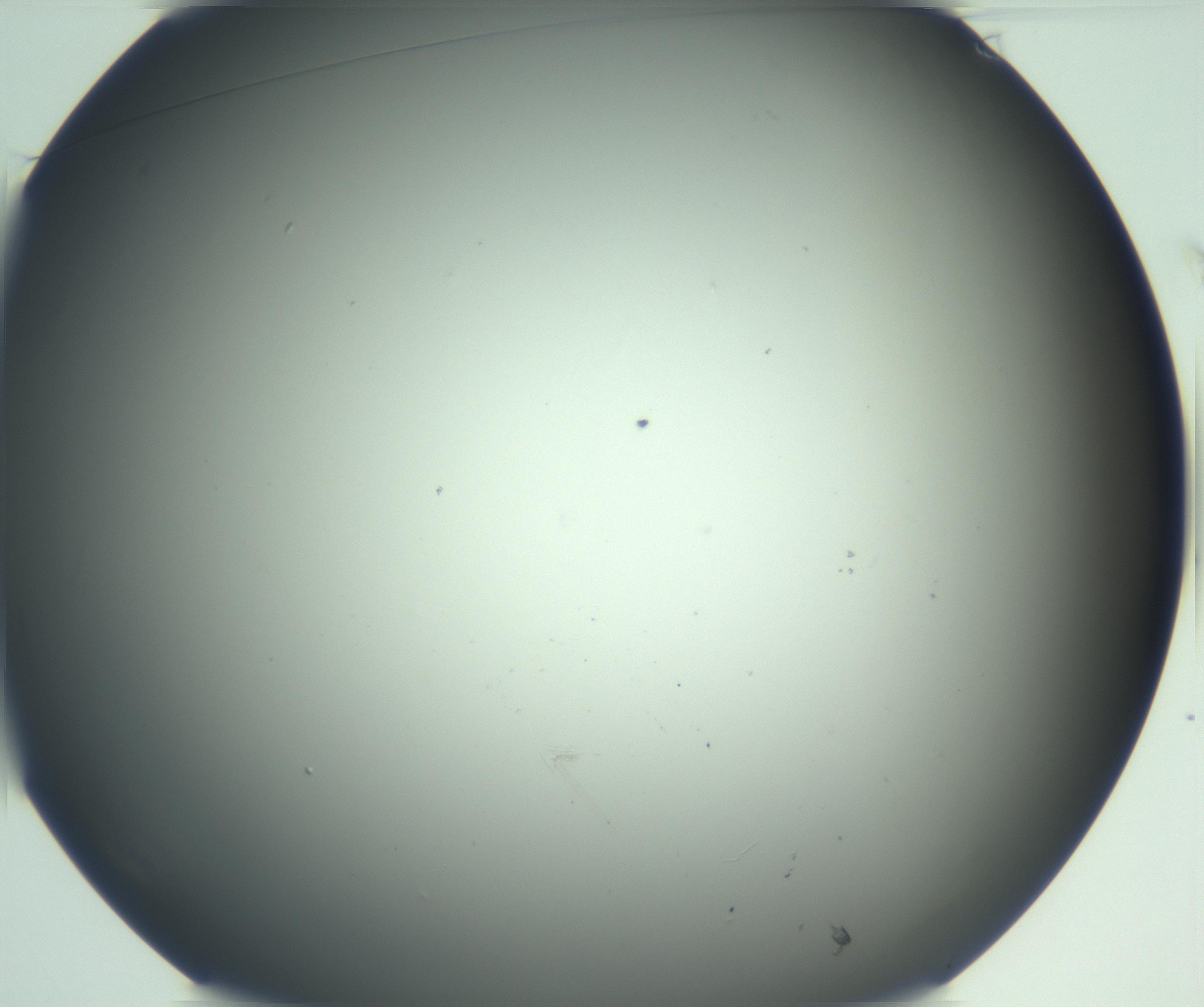 RI01_03_000_0212_Proj1_Clon1_MC_0000MC103048_005_161201_01_01_01_00_99_002_001_RAI.jpg