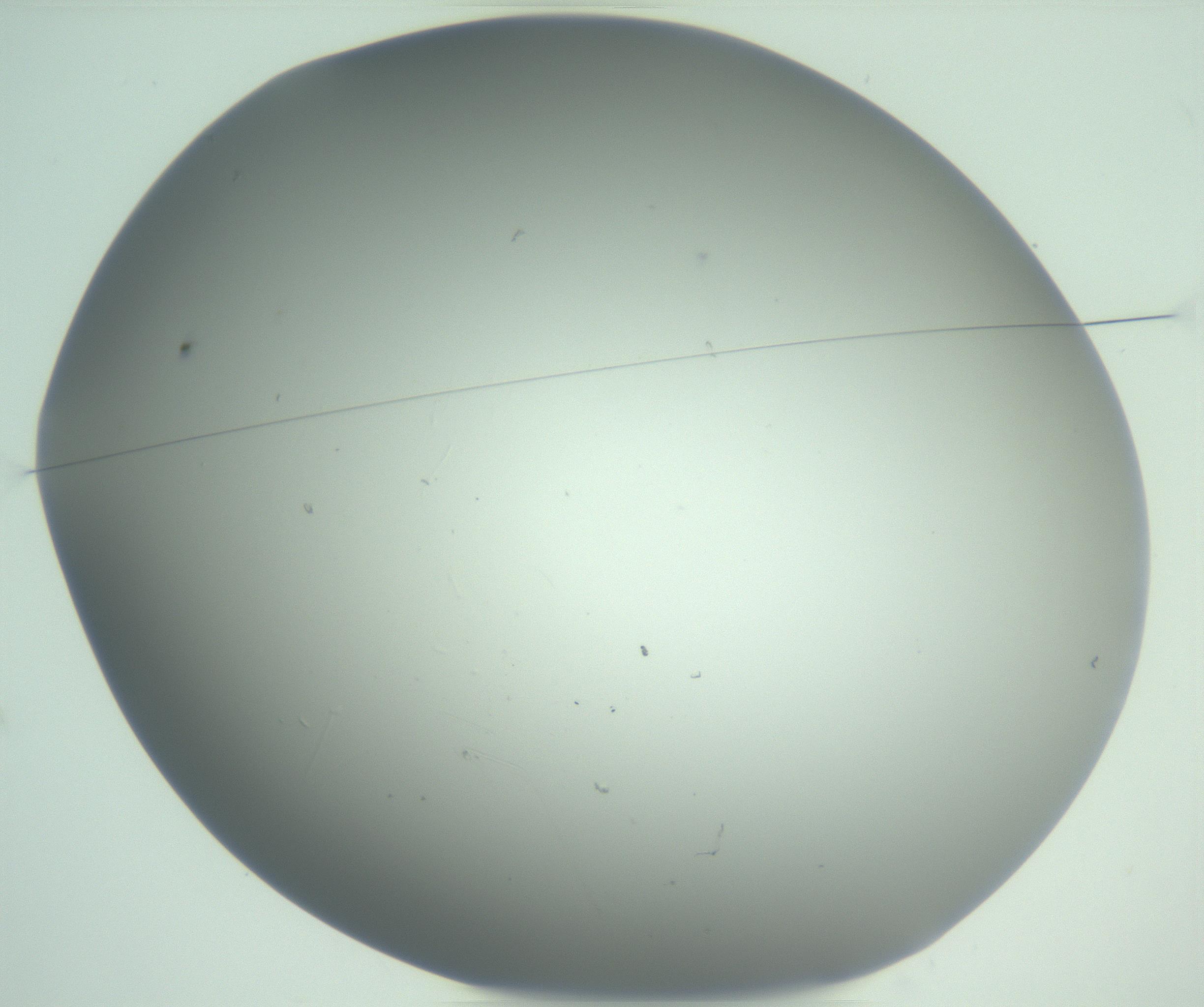 RI01_03_000_0212_Proj1_Clon1_MC_0000MC103048_005_161201_02_01_01_00_99_002_001_RAI.jpg