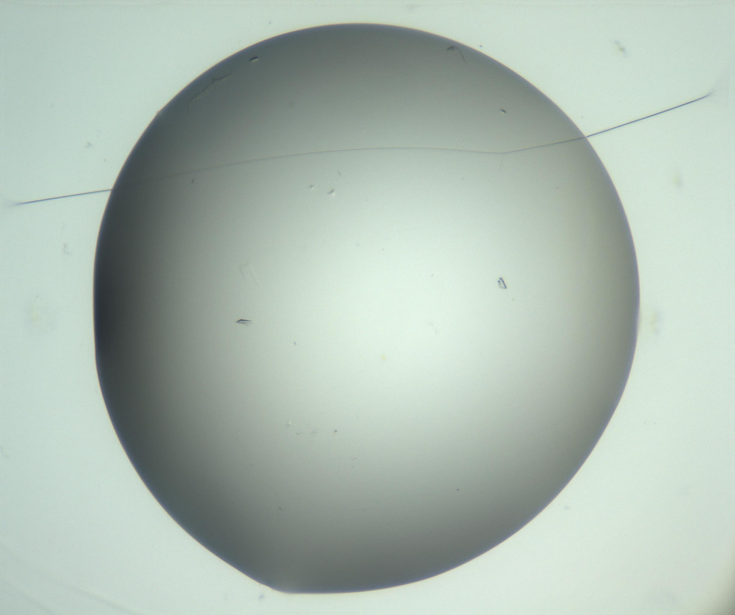 RI01_03_000_0212_Proj1_Clon1_MC_0000MC103060_005_161201_03_01_01_00_99_002_001_RAI.jpg