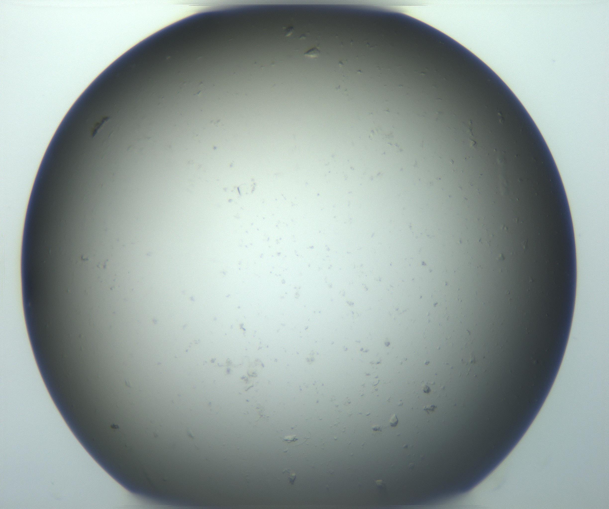 RI01_03_000_0212_Proj1_Clon1_MC_0000MC103070_004_161130_08_05_01_00_99_002_001_RAI.jpg