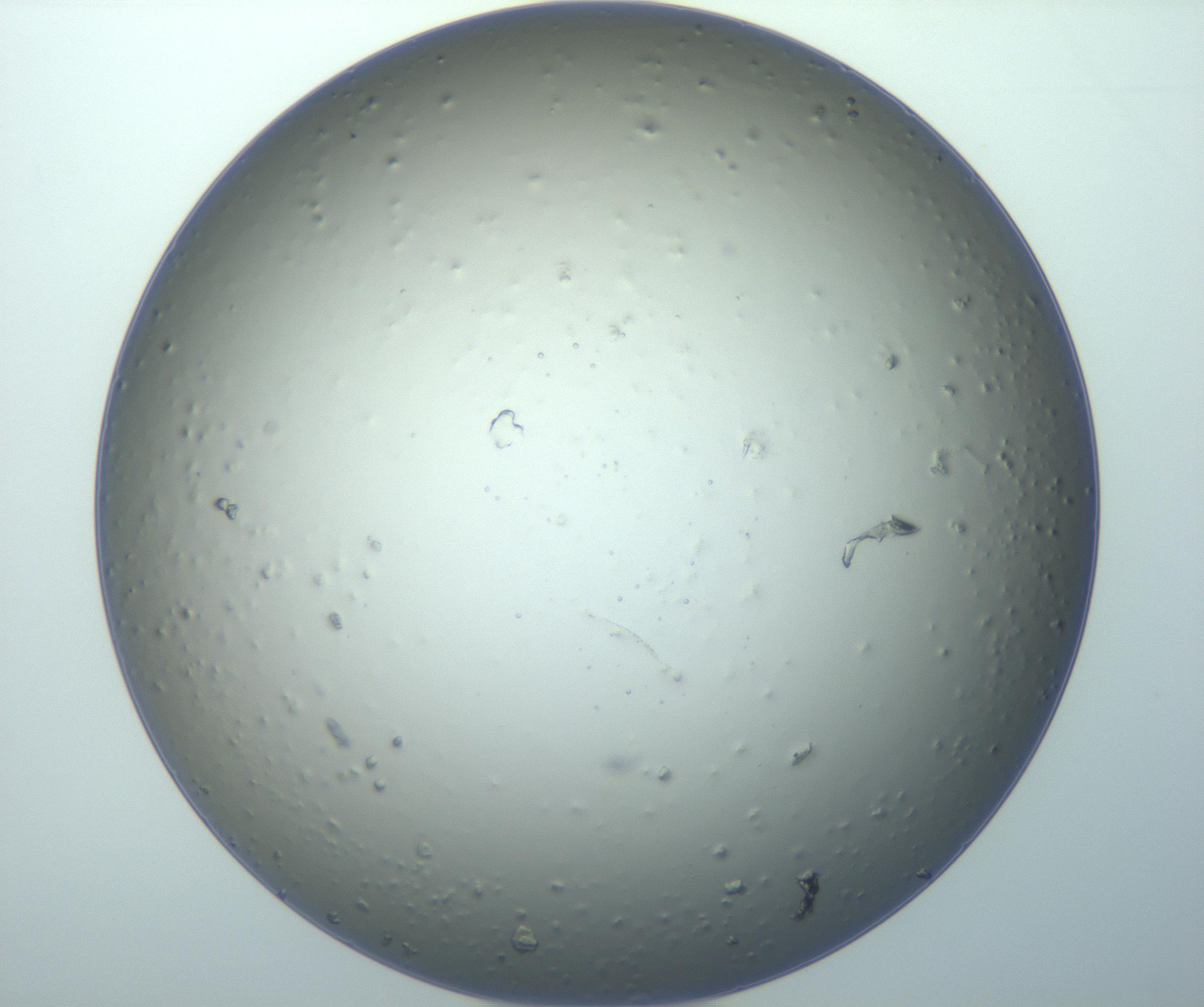 RI01_03_000_0212_Proj1_Clon1_MC_0000MC103070_004_161130_08_06_01_00_99_002_001_RAI.jpg