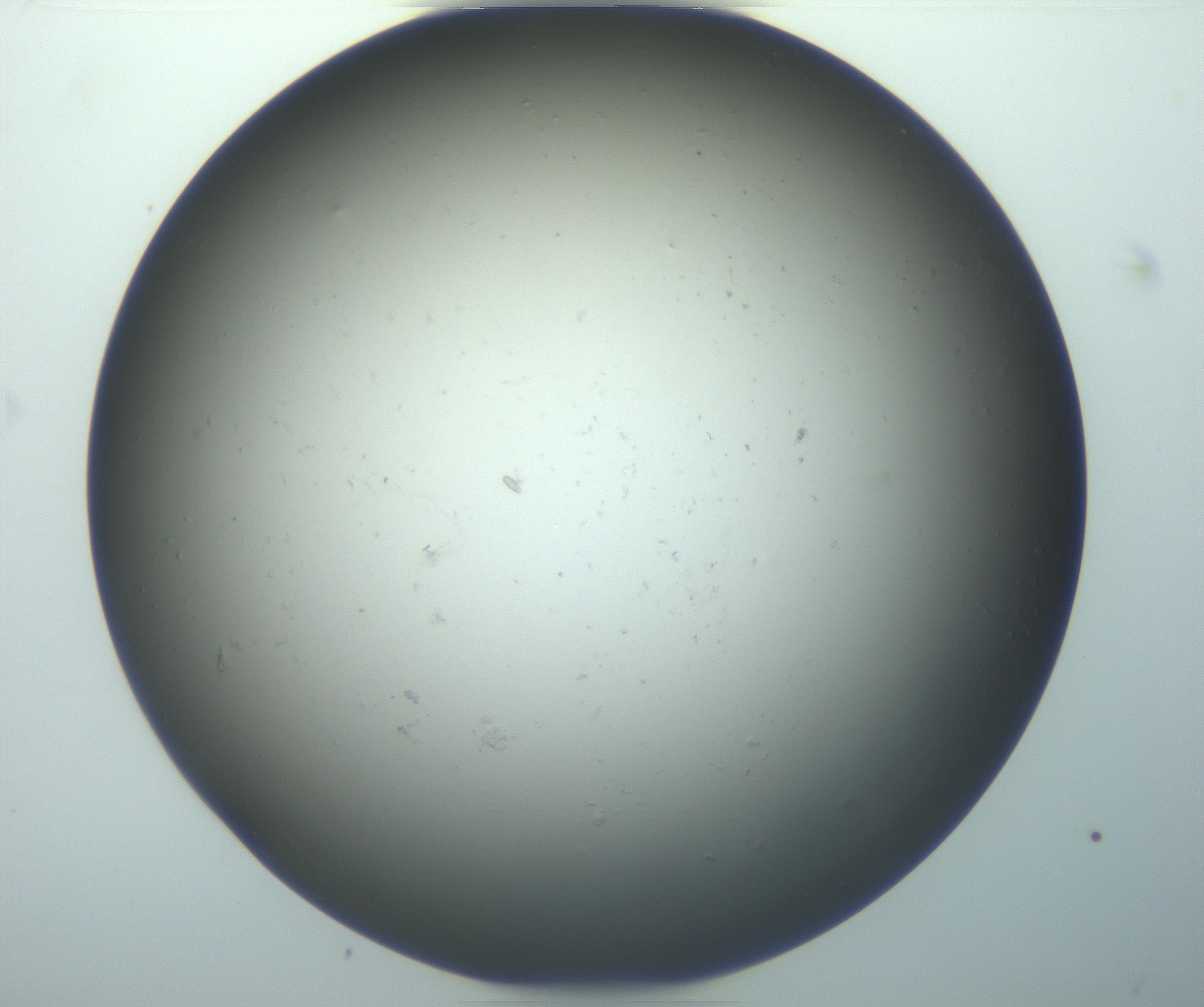 RI01_03_000_0212_Proj1_Clon1_MC_0000MC103070_004_161130_11_05_01_00_99_002_001_RAI.jpg
