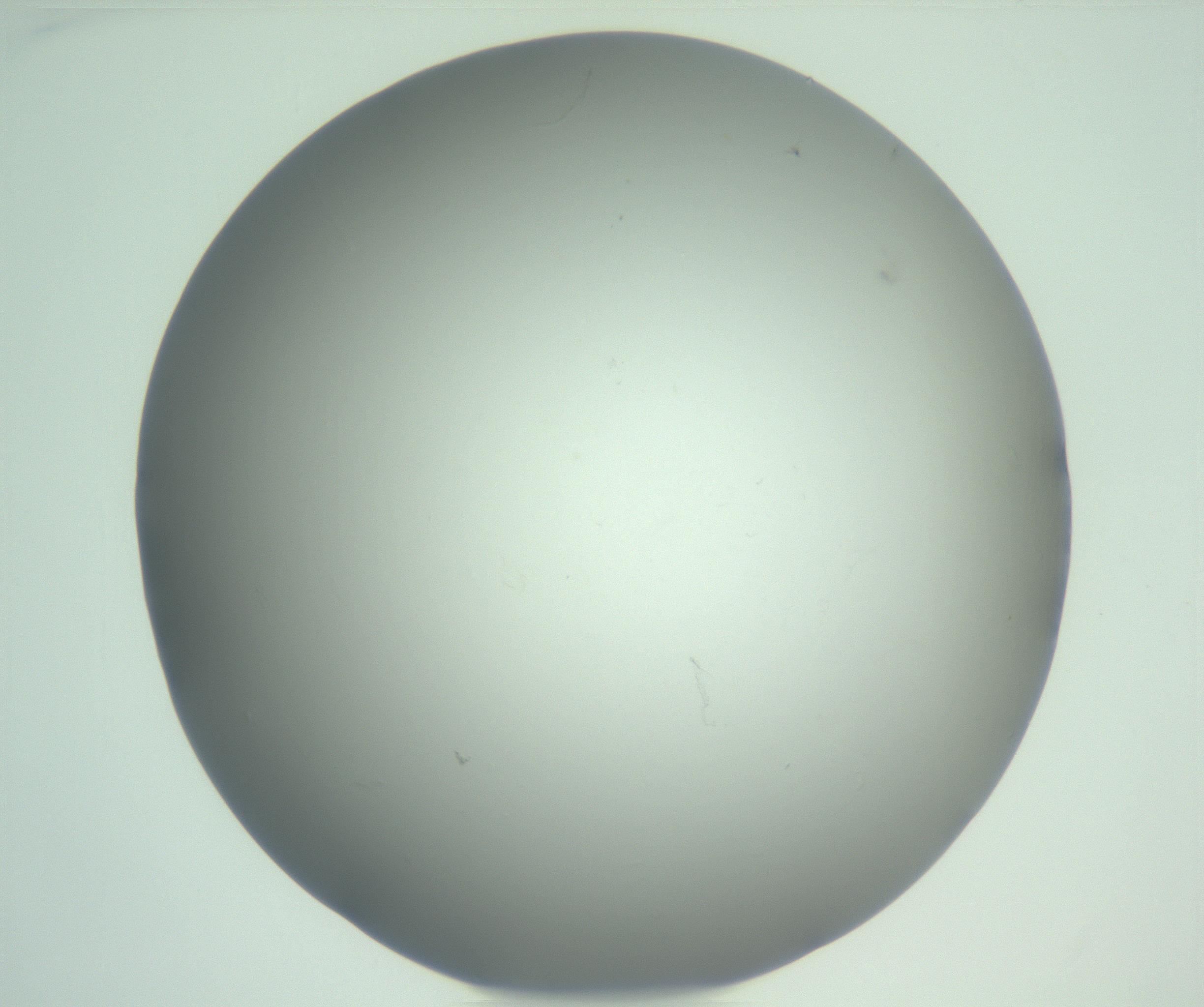 RI01_03_000_0212_Proj1_Clon1_MC_0000MC103074_002_161127_01_03_01_00_99_002_001_RAI.jpg